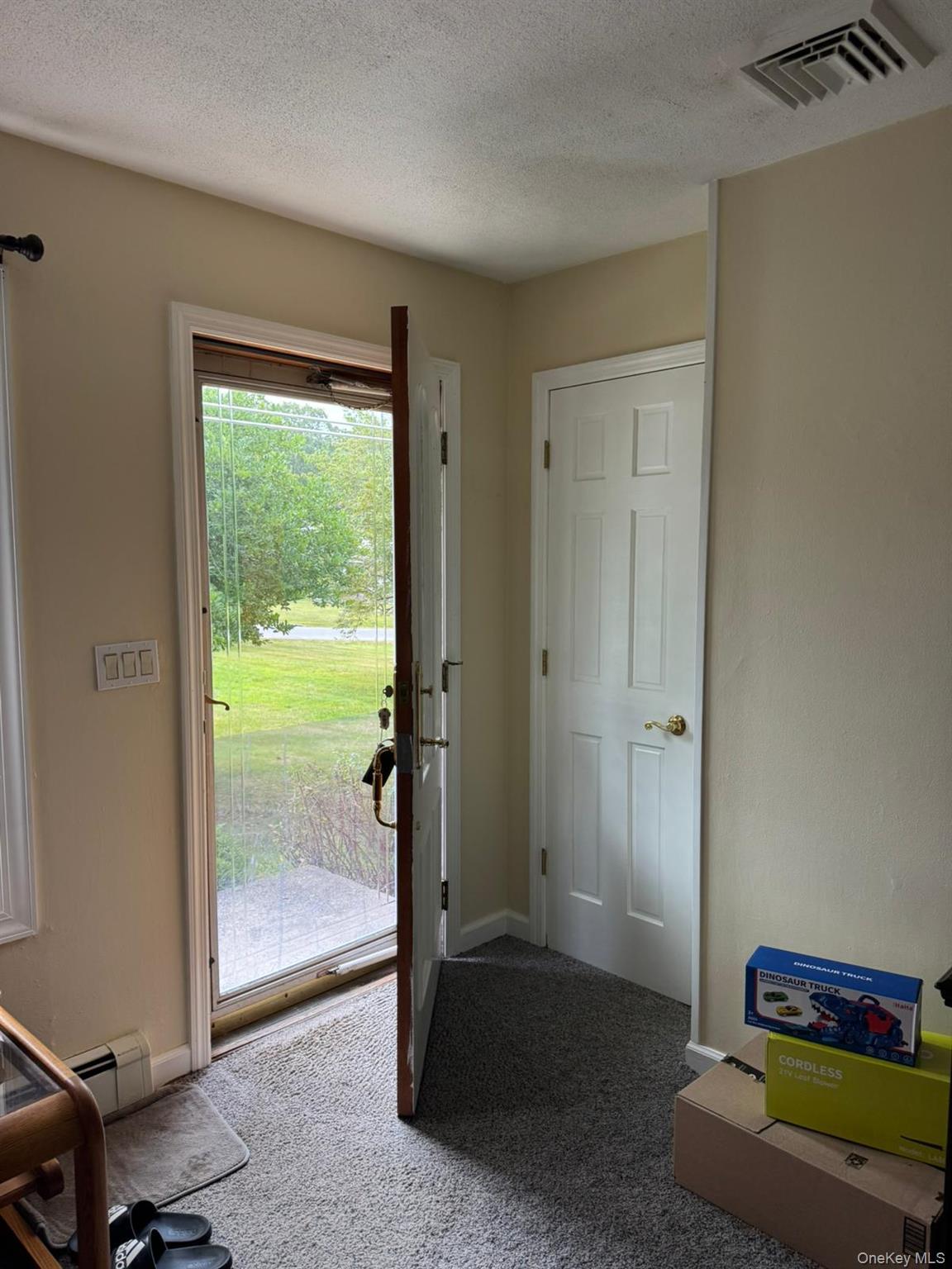 Single Family Tappan Drive  Orange County, NY 10950, MLS-1037781-23