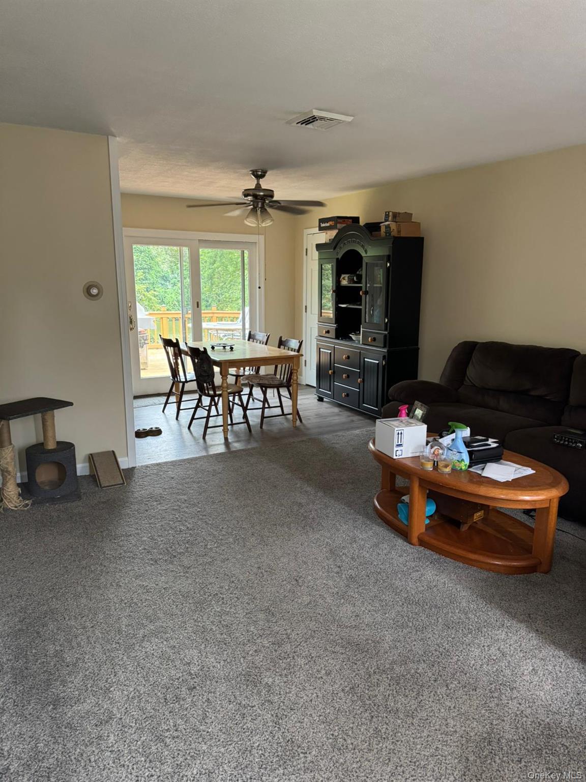 Single Family Tappan Drive  Orange County, NY 10950, MLS-1037781-3