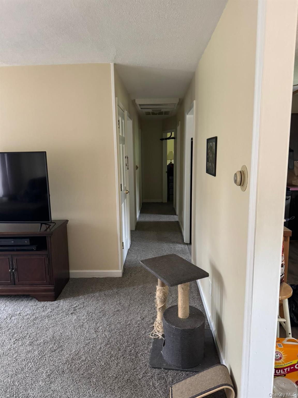 Single Family Tappan Drive  Orange County, NY 10950, MLS-1037781-6
