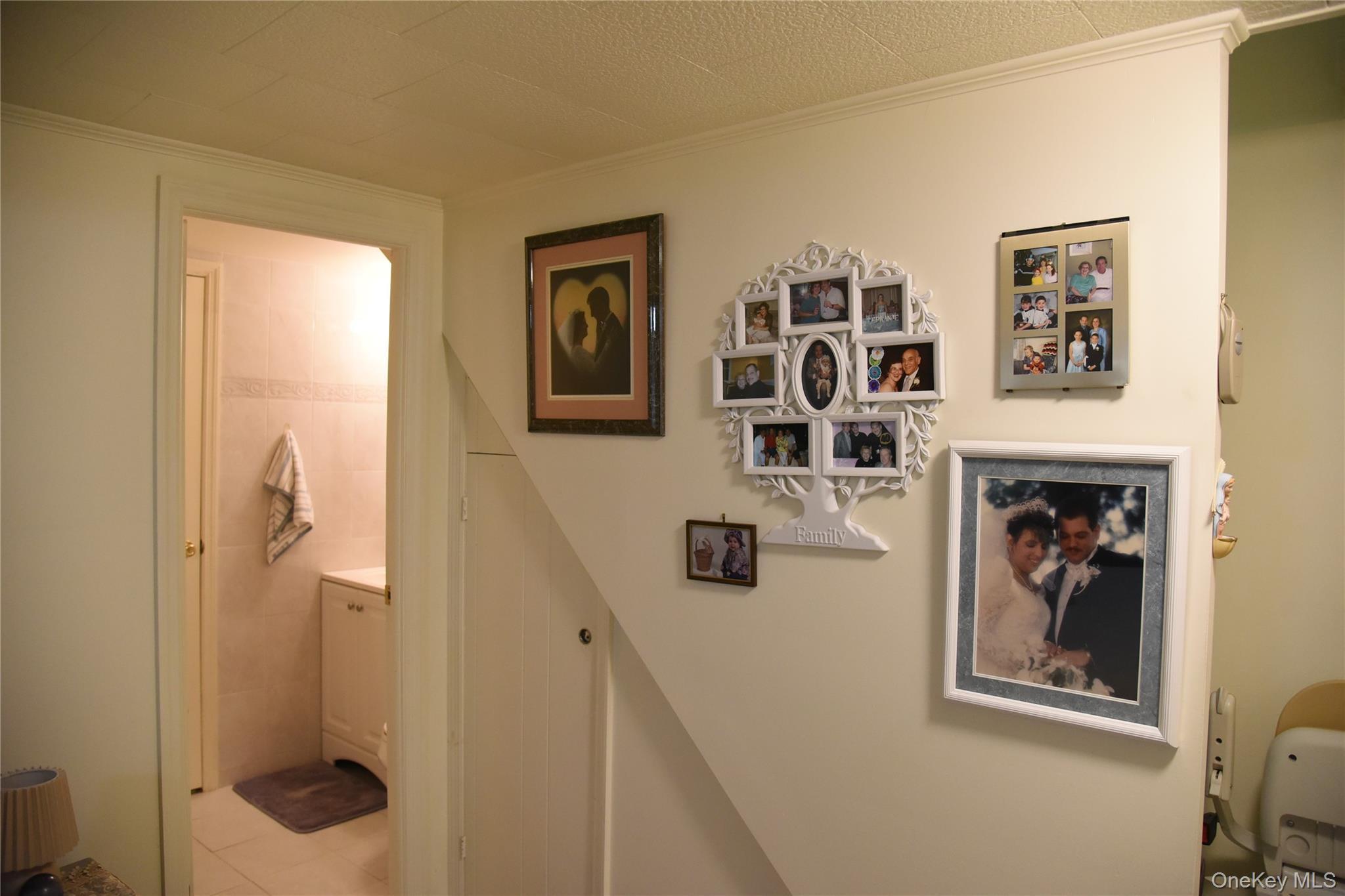 Single Family Radio Drive  Bronx, NY 10465, MLS-1037782-19
