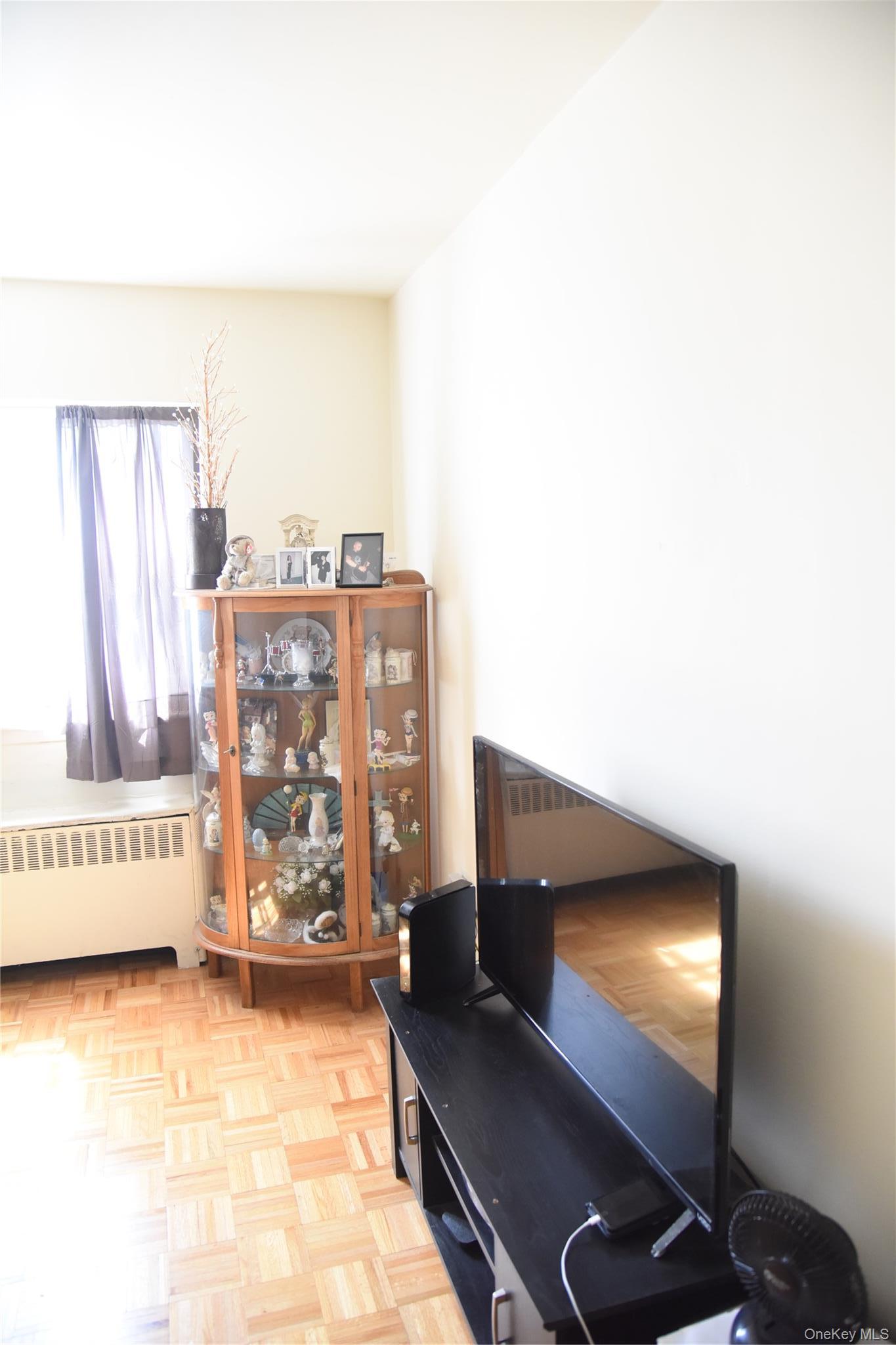 Single Family Radio Drive  Bronx, NY 10465, MLS-1037782-6