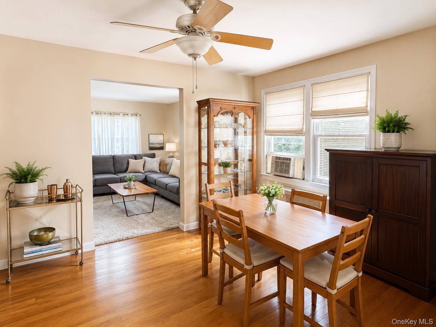 Single Family Juniper Road  Nassau County, NY 11050, MLS-1037787-13