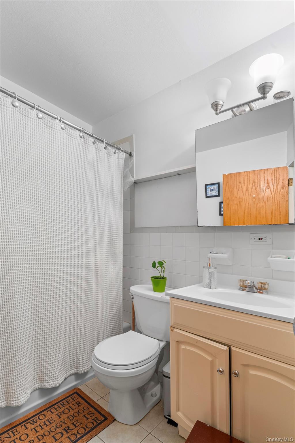 Single Family 48th Avenue Queens, NY 11368, MLS-1037790-19