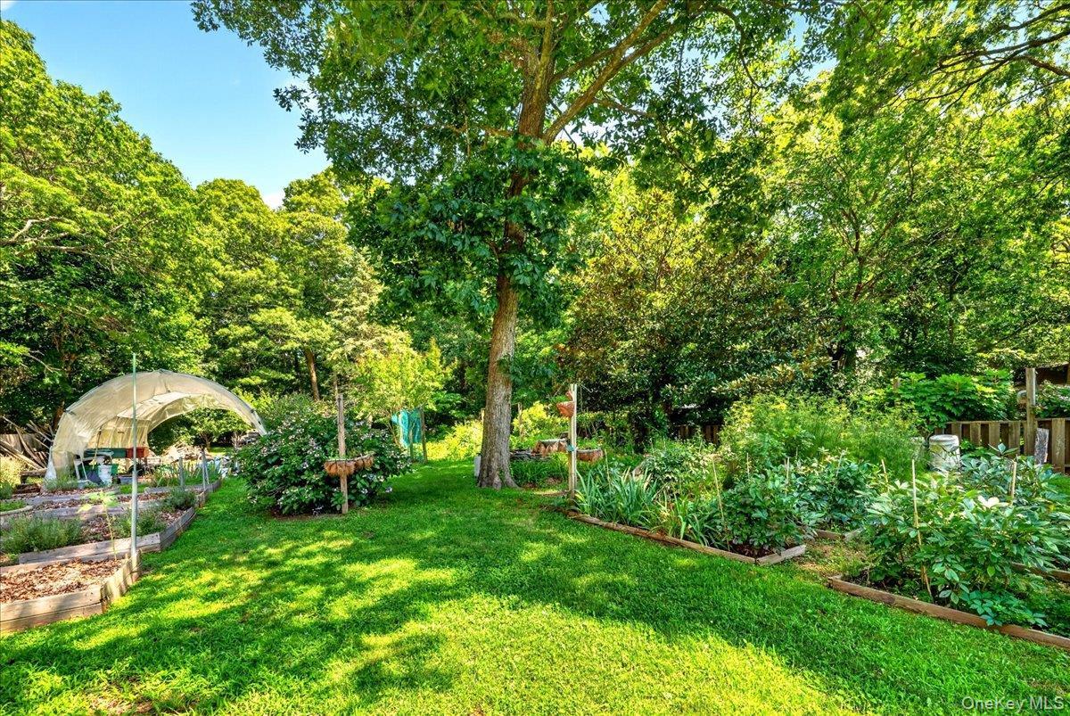 Single Family Biltmore Drive Suffolk County, NY 11951, MLS-1037810-24