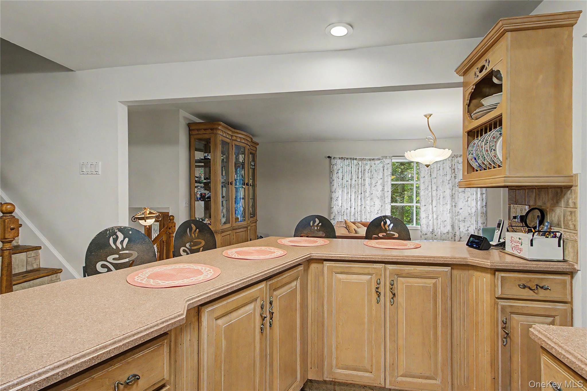 Single Family Blueberry Lane  Dutchess County, NY 12582, MLS-1037821-13