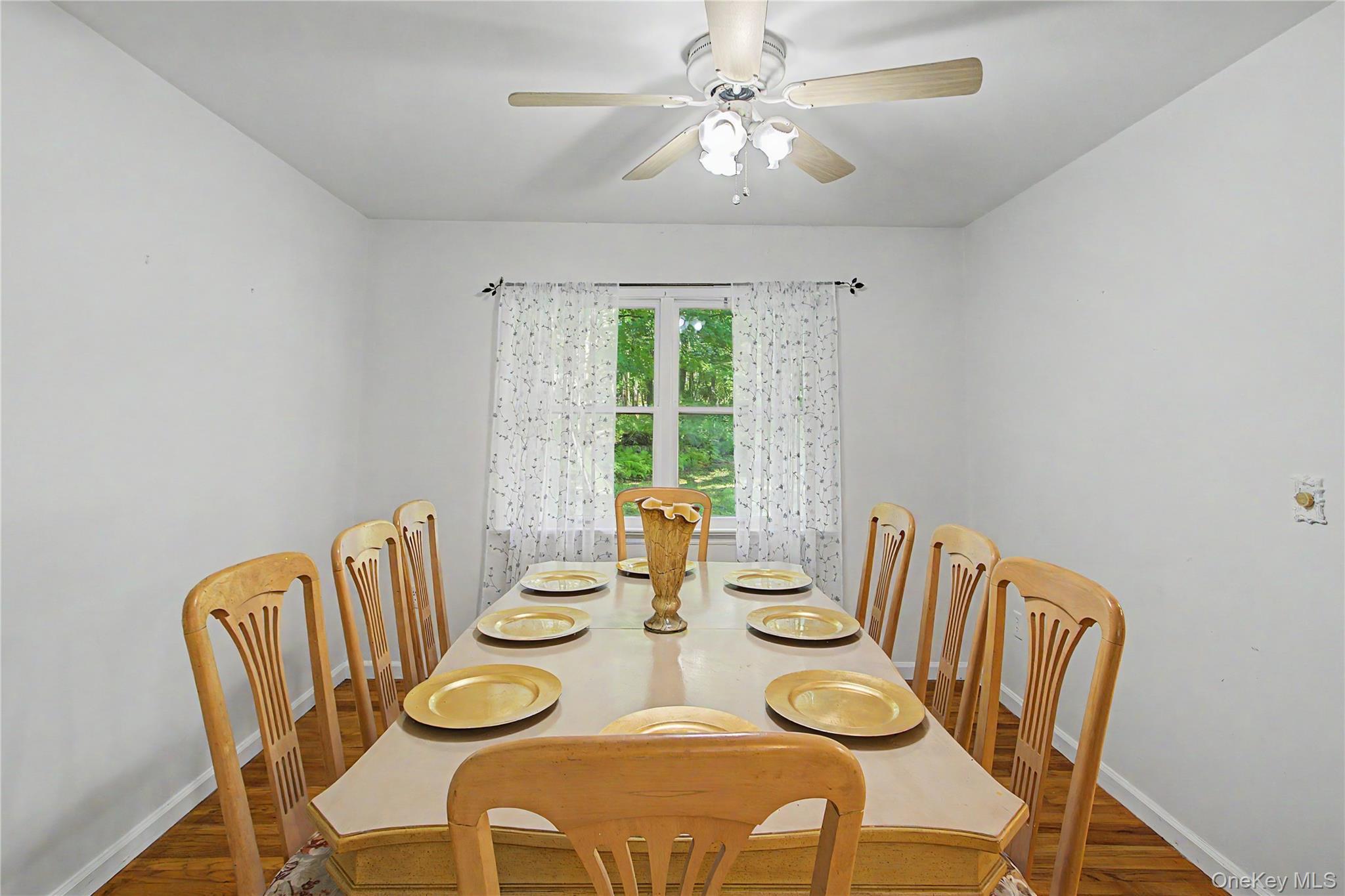 Single Family Blueberry Lane  Dutchess County, NY 12582, MLS-1037821-16