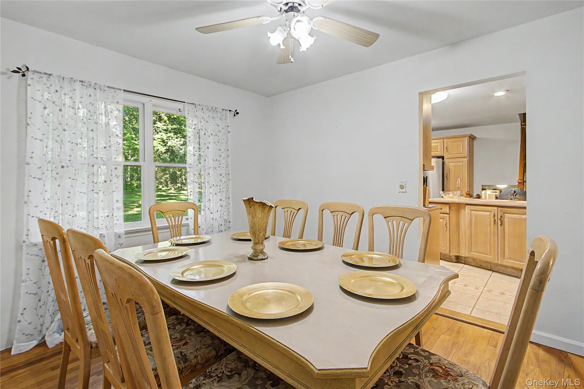 Single Family Blueberry Lane  Dutchess County, NY 12582, MLS-1037821-17