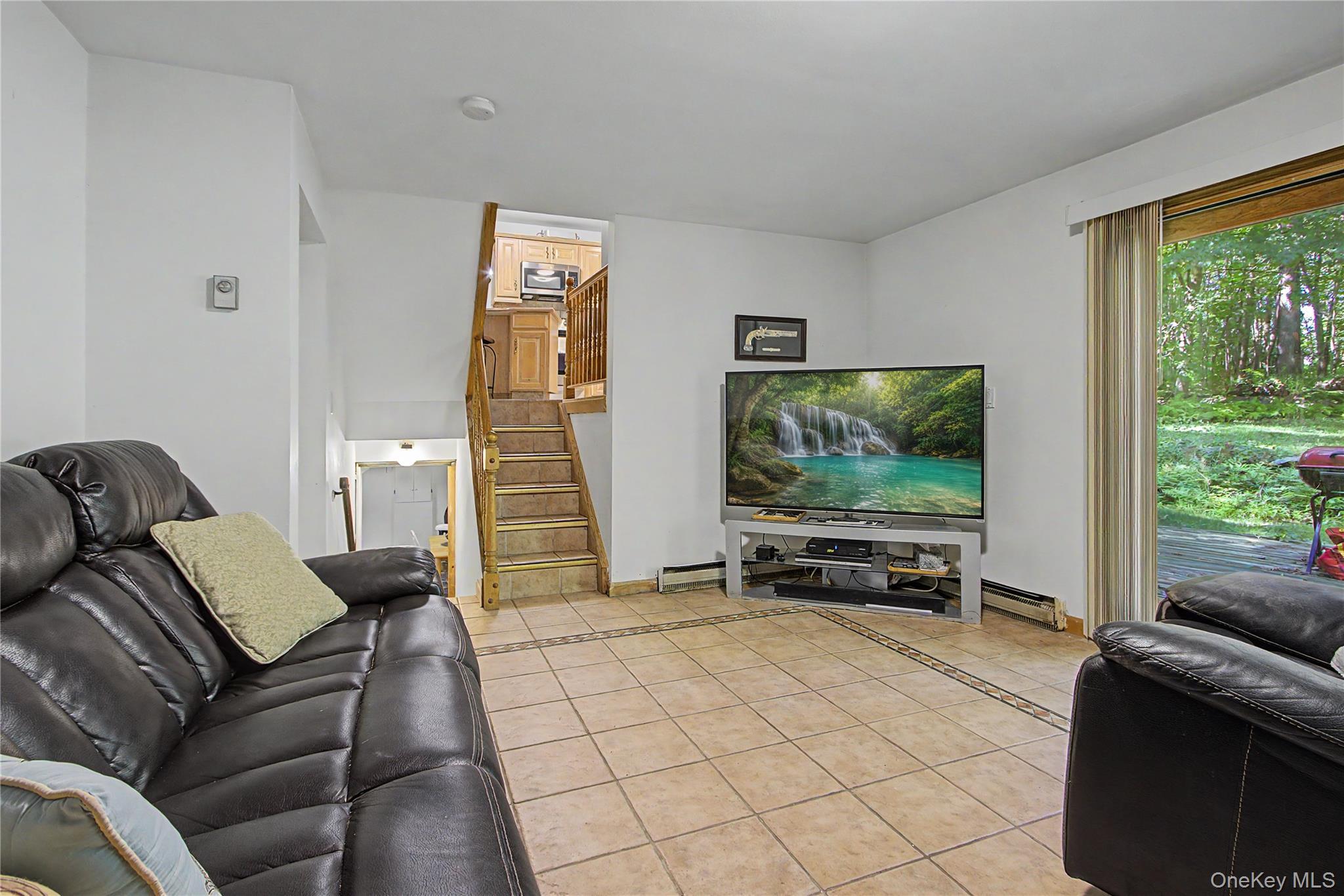 Single Family Blueberry Lane  Dutchess County, NY 12582, MLS-1037821-19