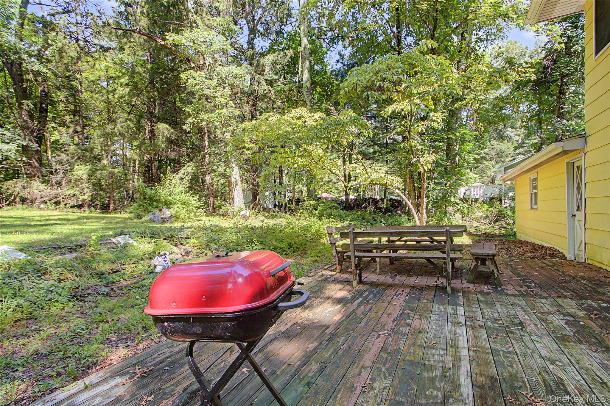 Single Family Blueberry Lane  Dutchess County, NY 12582, MLS-1037821-35