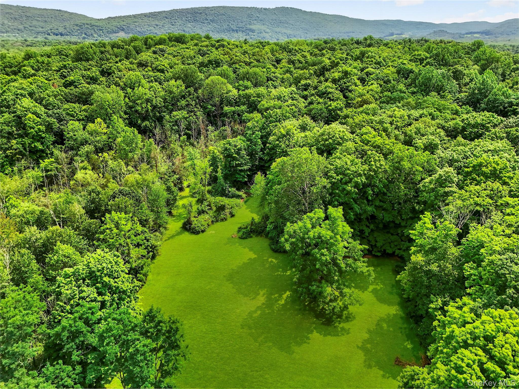 Single Family Route 52 Dutchess County, NY 12533, MLS-1037836-6