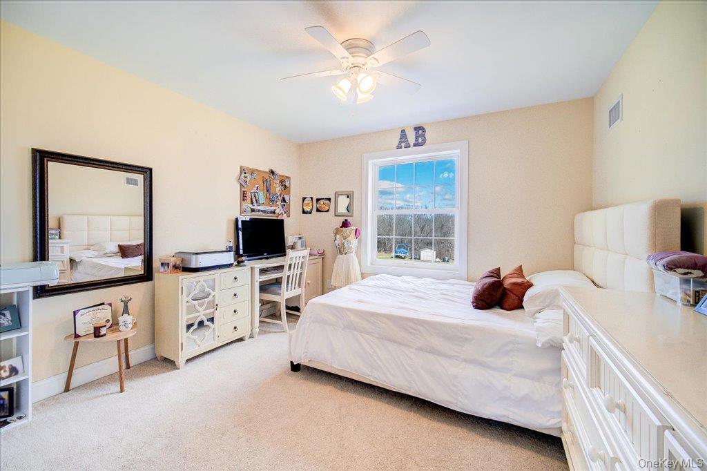 Single Family Houston Road  Orange County, NY 10924, MLS-1037841-27