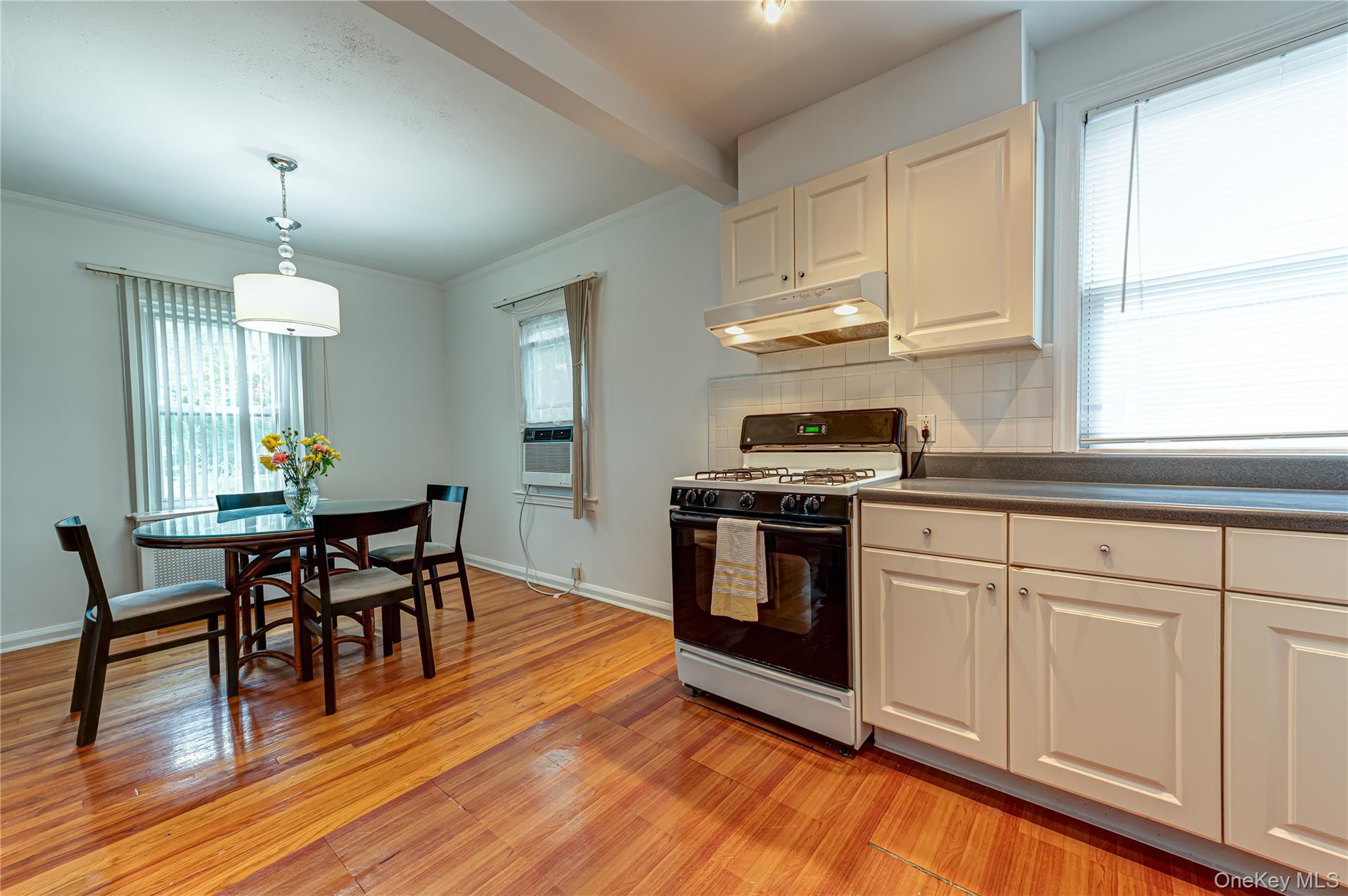 Single Family Yale Boulevard  Nassau County, NY 11040, MLS-1037857-10