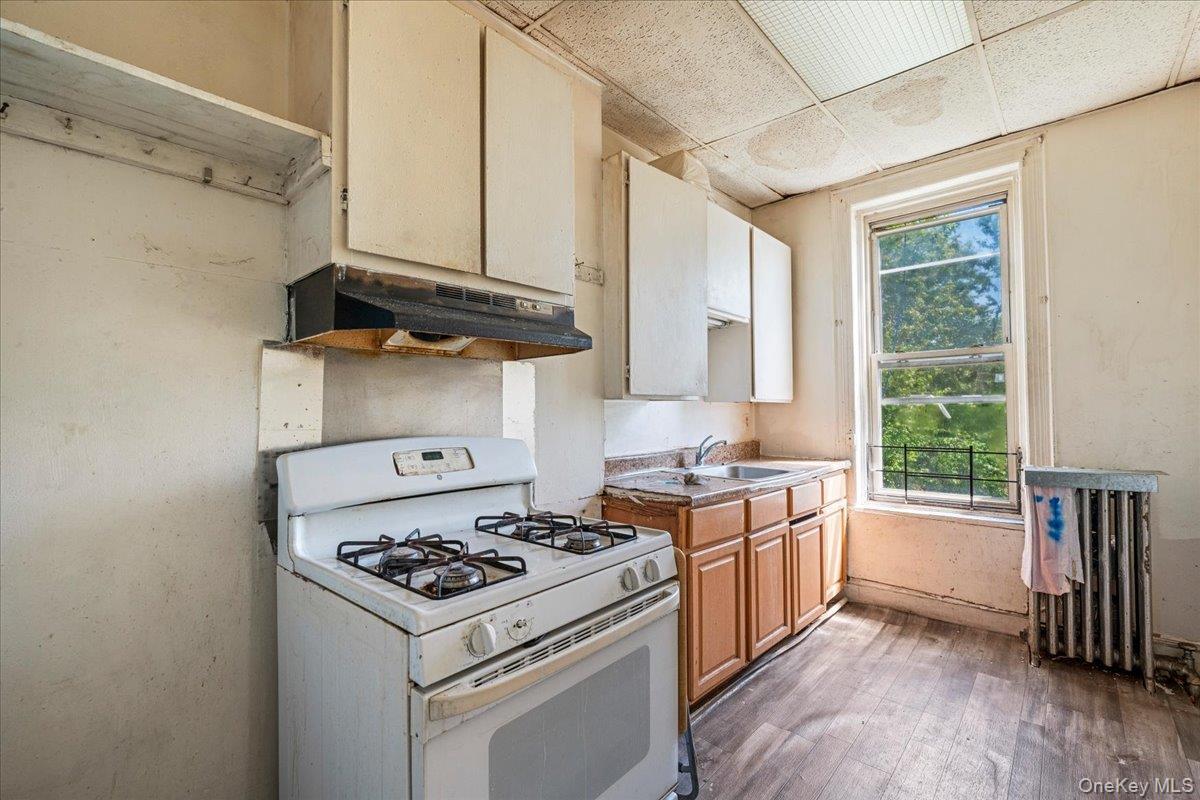 Single Family Eldert Lane  Brooklyn, NY 11208, MLS-1037862-12