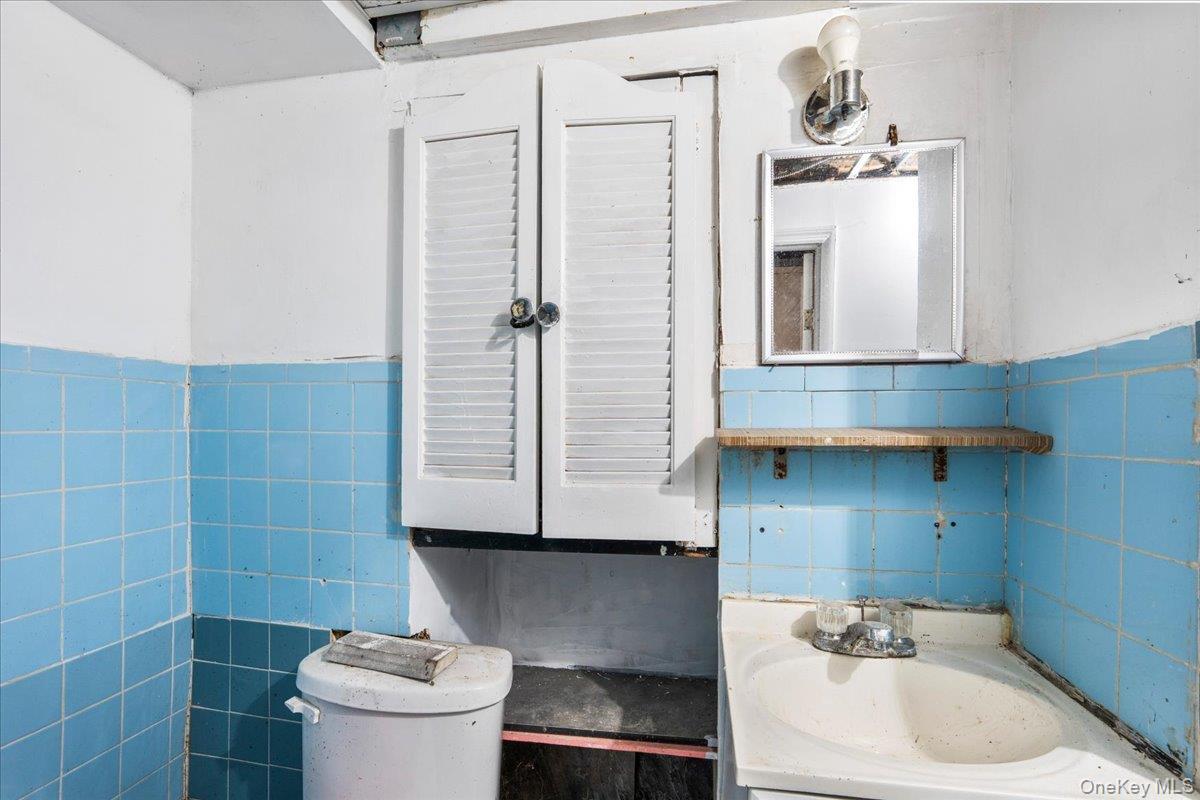 Single Family Eldert Lane  Brooklyn, NY 11208, MLS-1037862-32