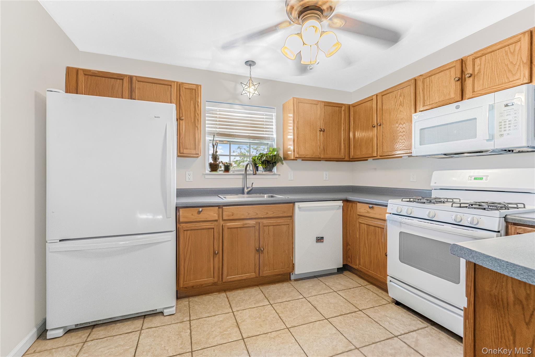 Single Family Mary Lou Avenue Westchester County, NY 10703, MLS-1037865-15