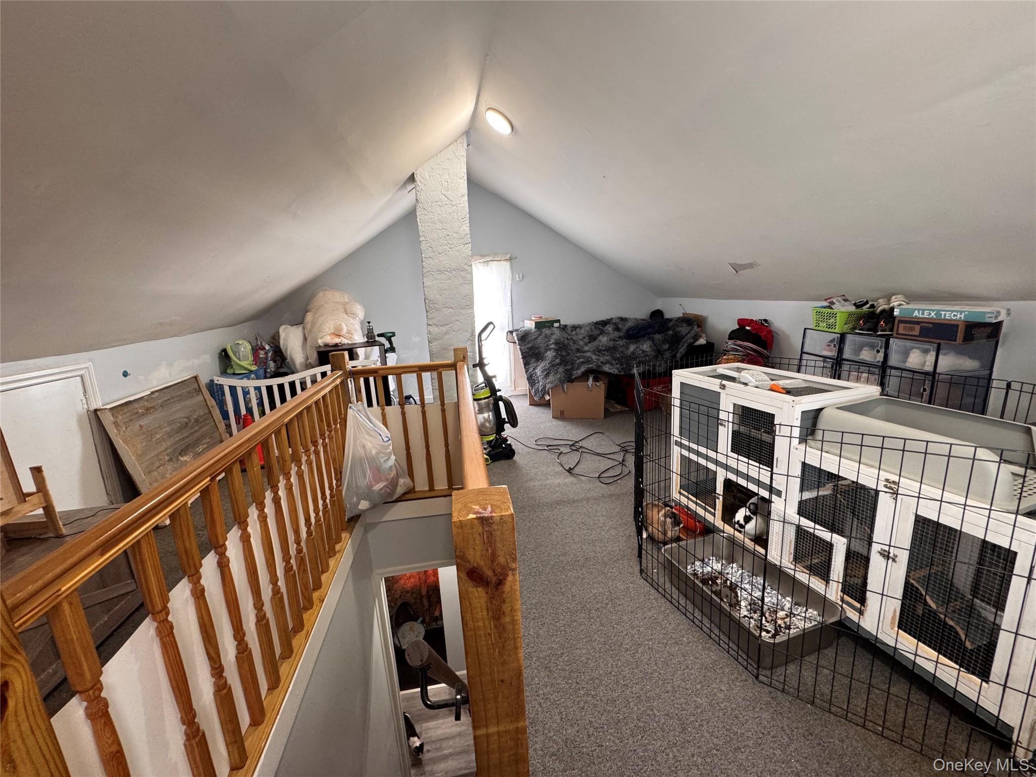 Single Family 167th Street Queens, NY 11434, MLS-1037914-19