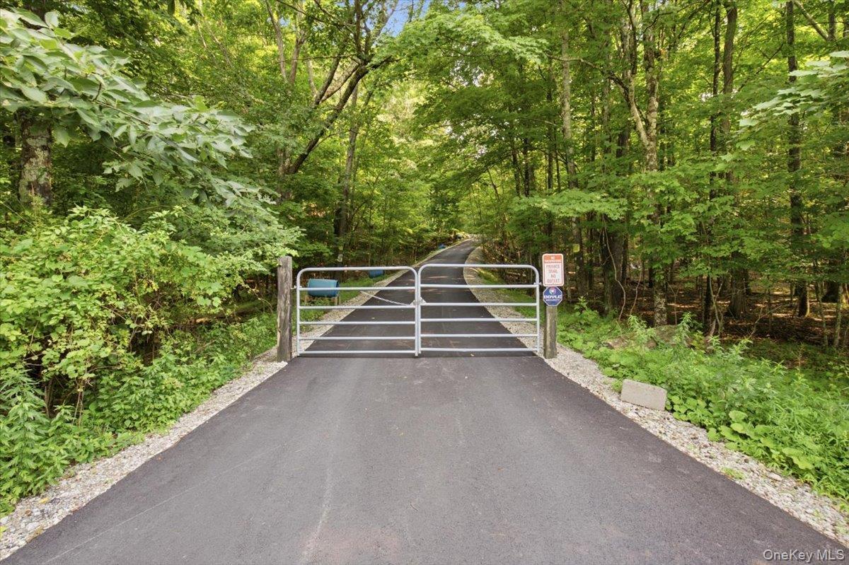 Single Family Favorito Road  Greene County, NY 12413, MLS-1037921-46