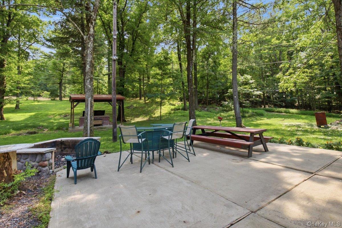 Single Family Favorito Road  Greene County, NY 12413, MLS-1037921-48