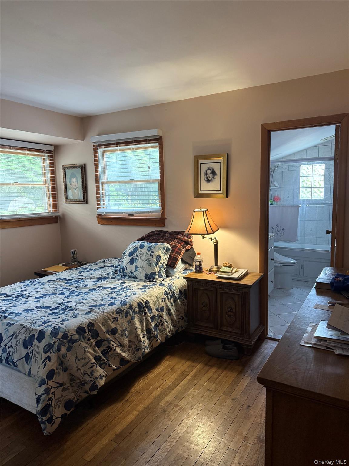 Single Family N Gardiner Drive Suffolk County, NY 11706, MLS-1037951-10