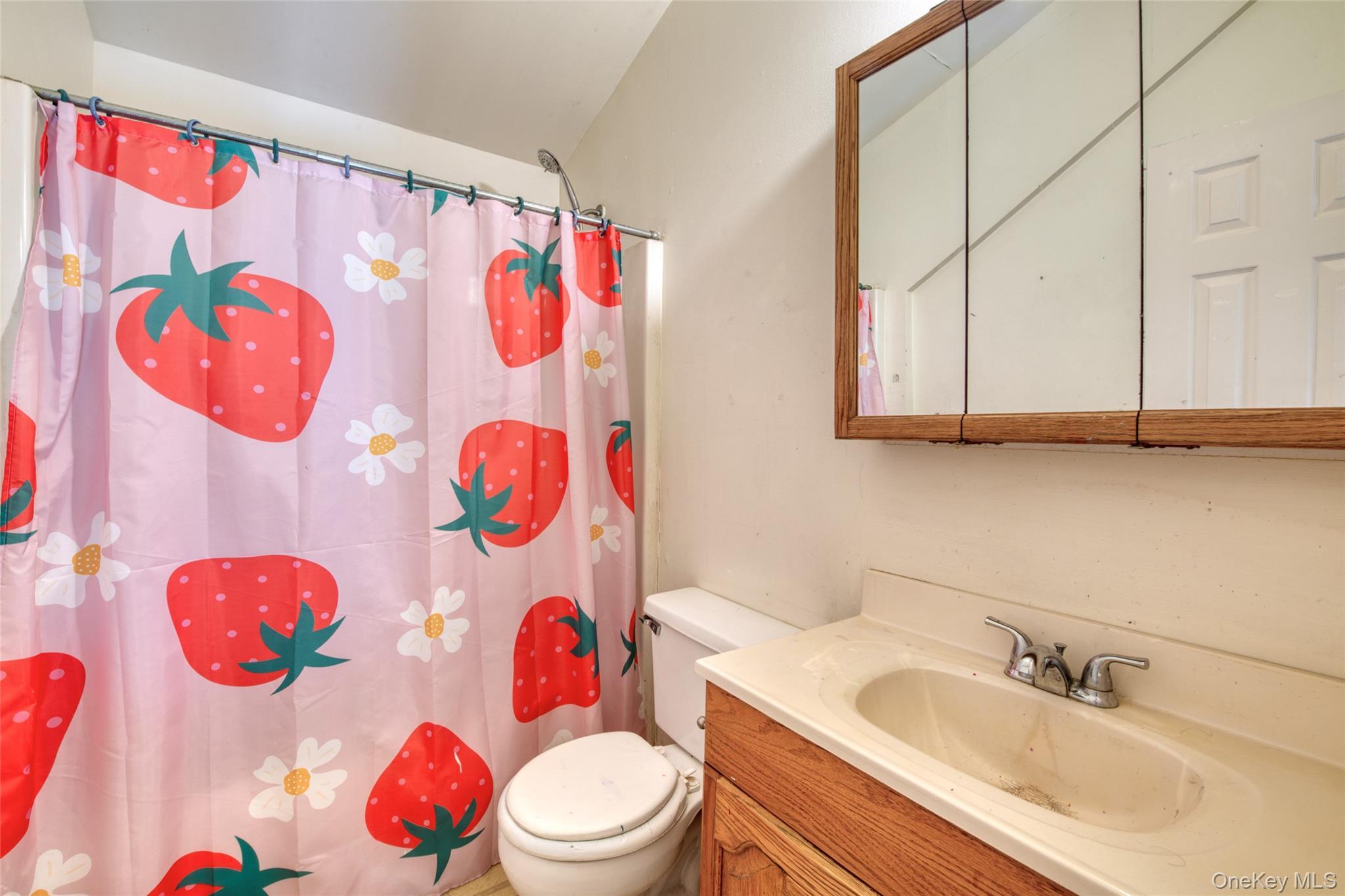 Single Family Kaplan Avenue Suffolk County, NY 11944, MLS-1037952-8