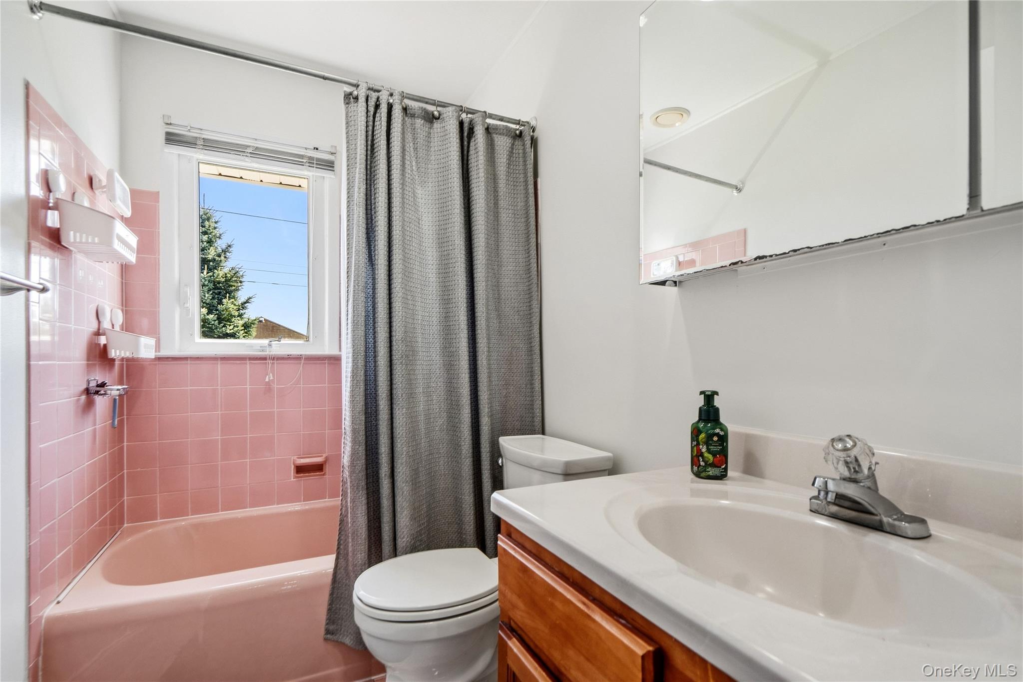Single Family N Suffolk Avenue  Nassau County, NY 11758, MLS-1037953-28