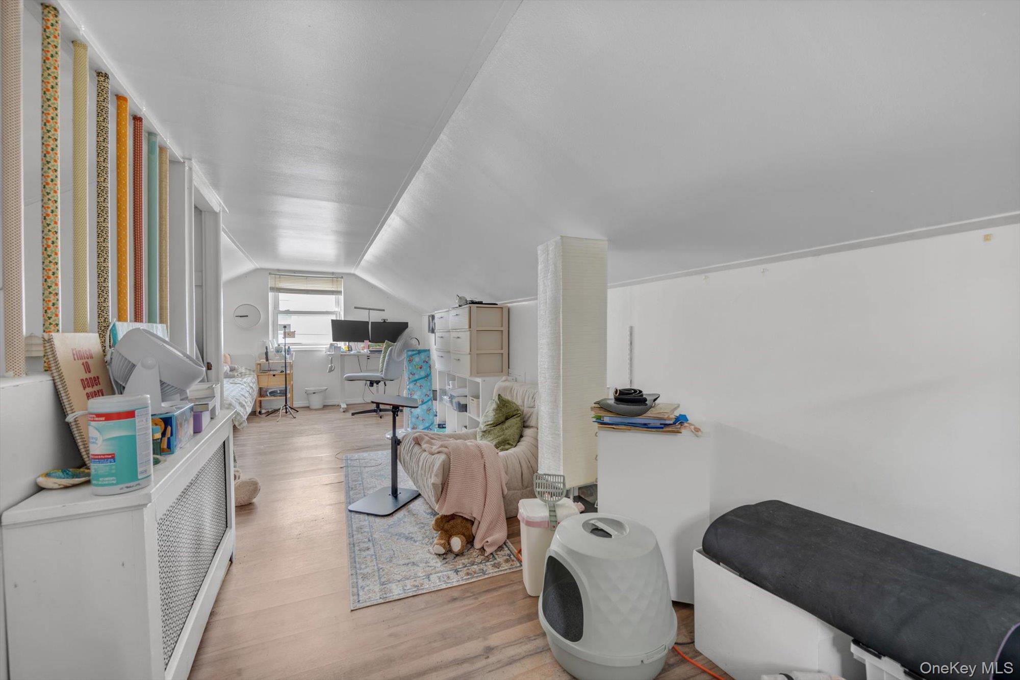 Single Family Claflin Boulevard Nassau County, NY 11010, MLS-1037993-14