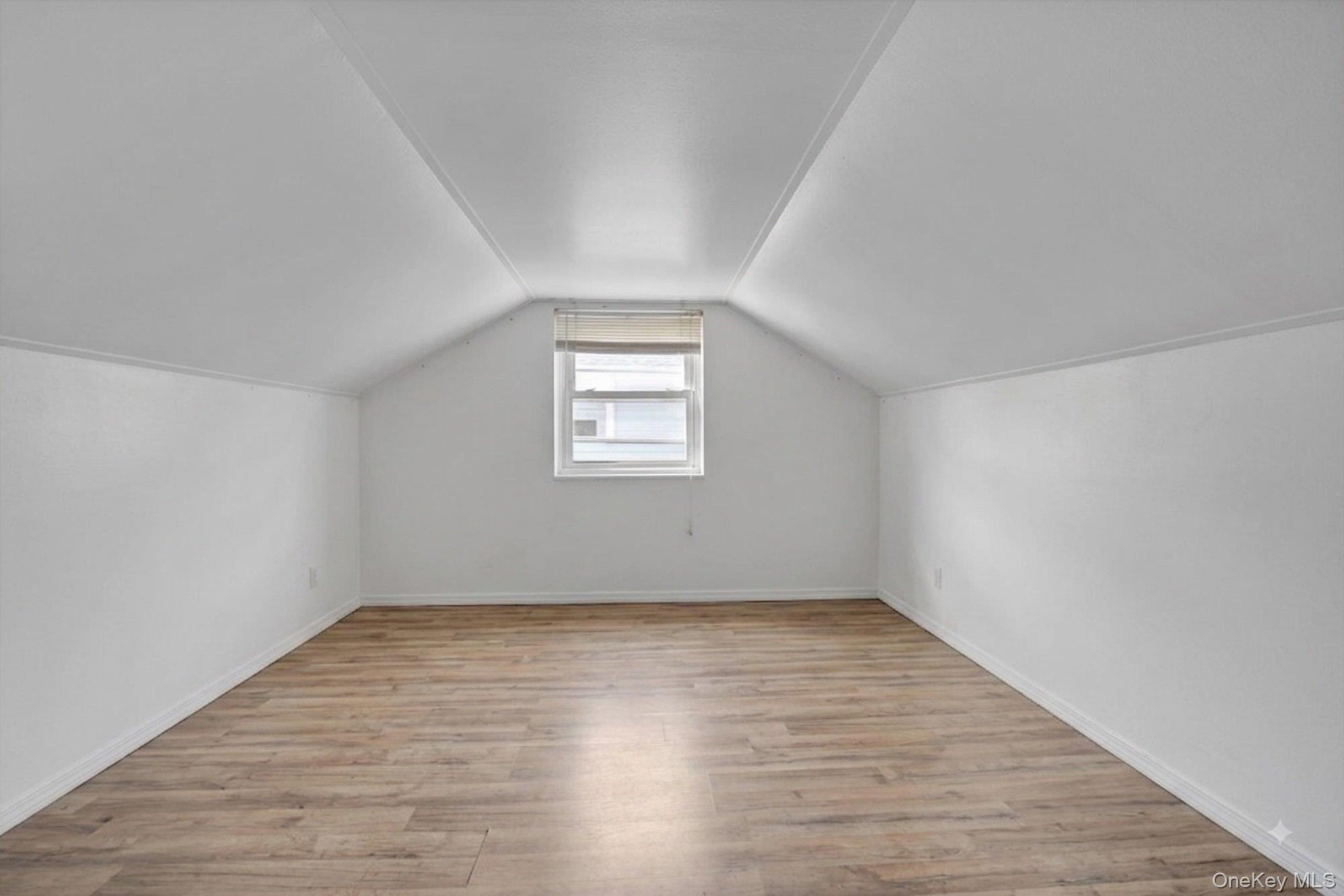 Single Family Claflin Boulevard Nassau County, NY 11010, MLS-1037993-17