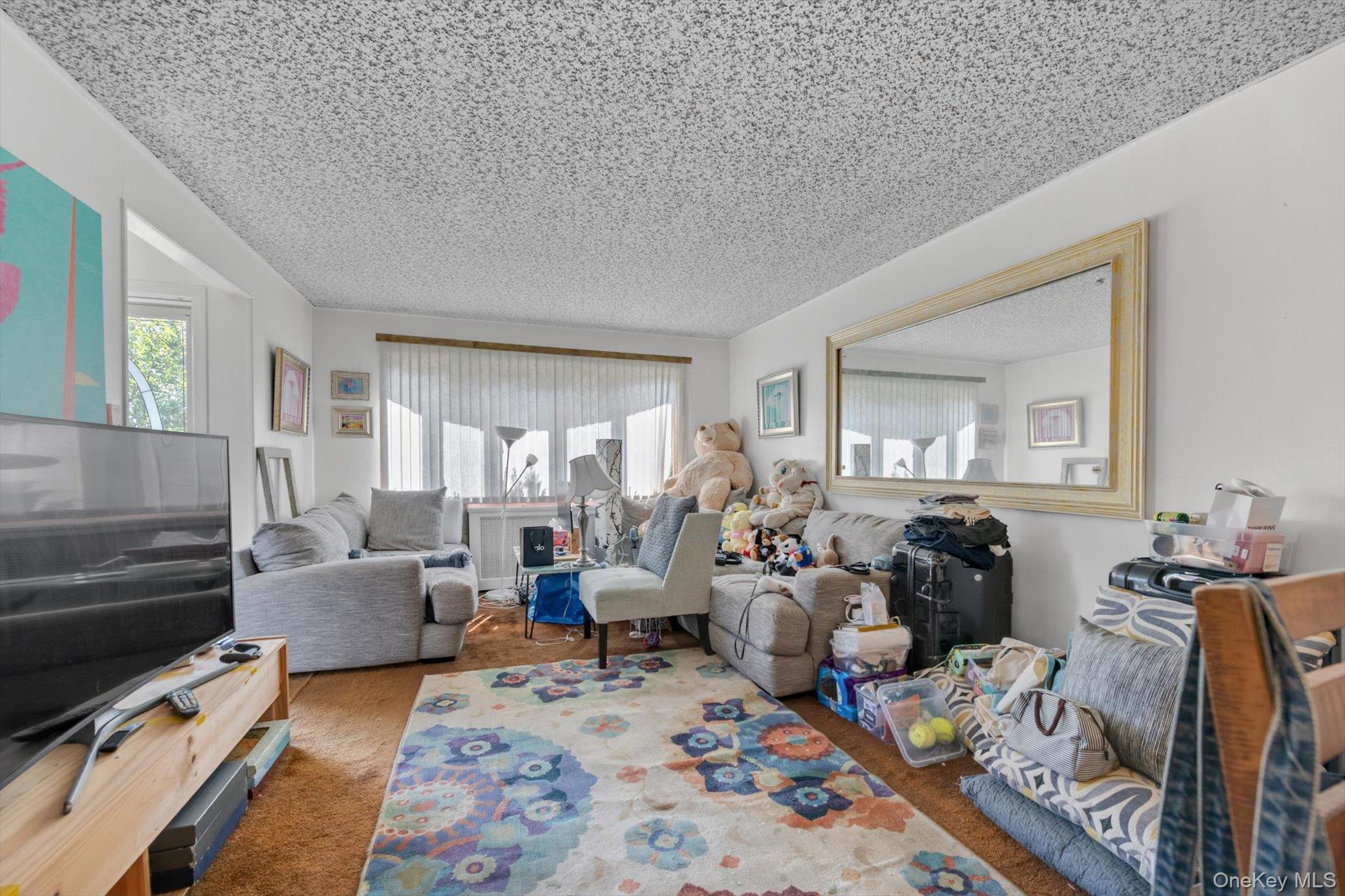Single Family Claflin Boulevard Nassau County, NY 11010, MLS-1037993-2