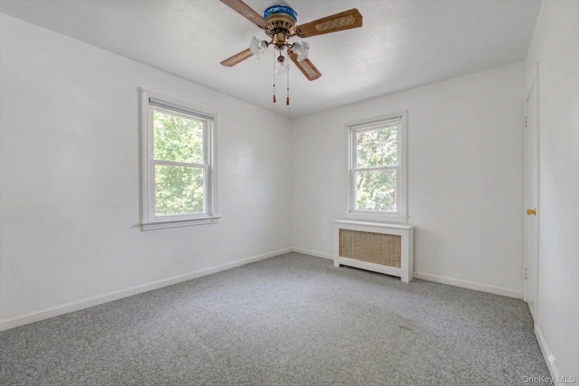 Single Family Claflin Boulevard Nassau County, NY 11010, MLS-1037993-9