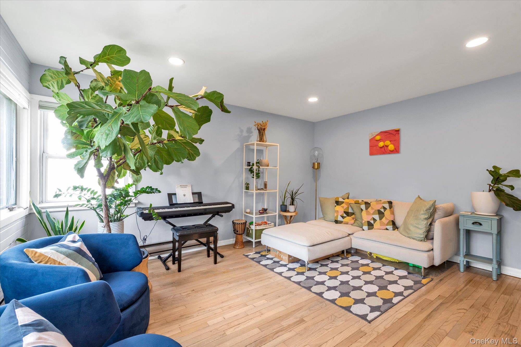 Single Family Rhame Avenue Nassau County, NY 11518, MLS-1038003-3