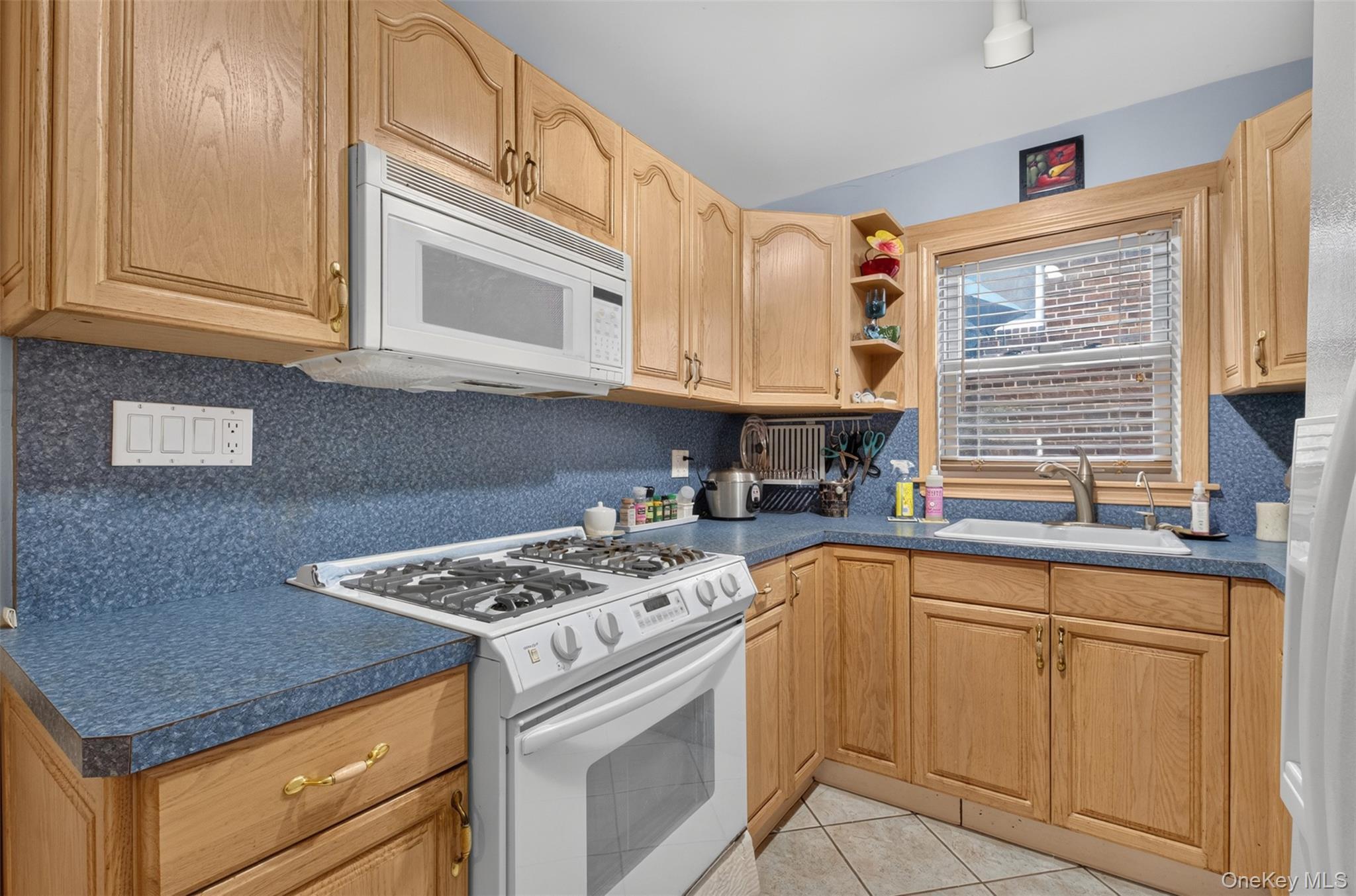 Single Family 28th Avenue Queens, NY 11354, MLS-1038004-11