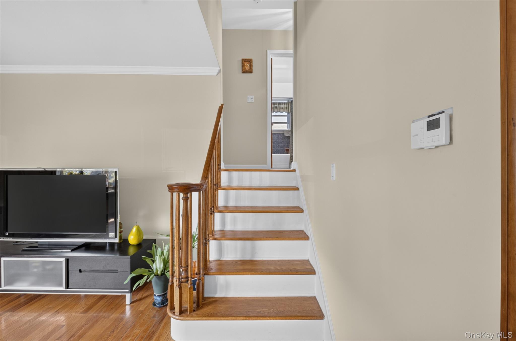 Single Family 28th Avenue Queens, NY 11354, MLS-1038004-14