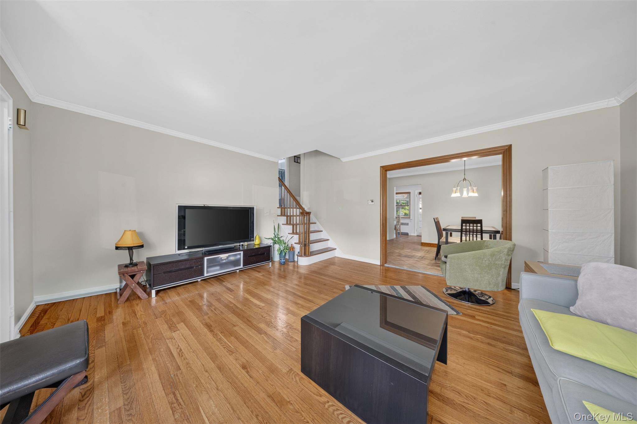 Single Family 28th Avenue Queens, NY 11354, MLS-1038004-5