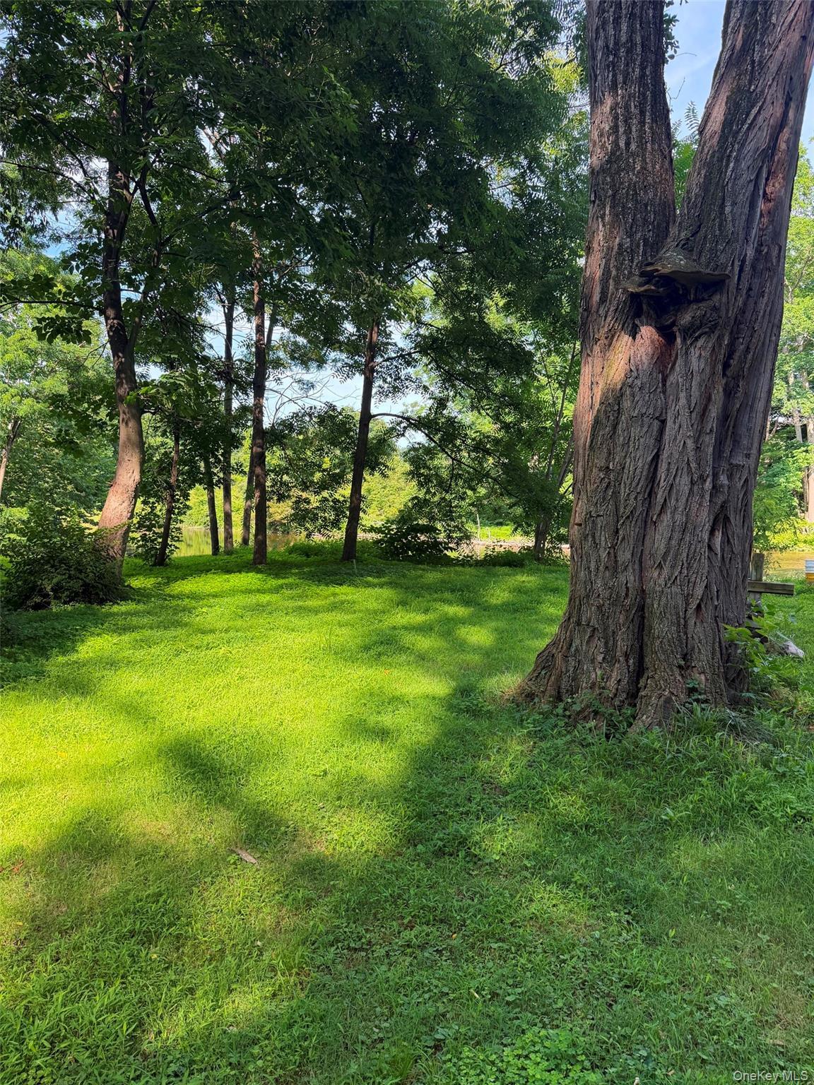 Single Family Wilbur Road  Dutchess County, NY 12569, MLS-1038005-15