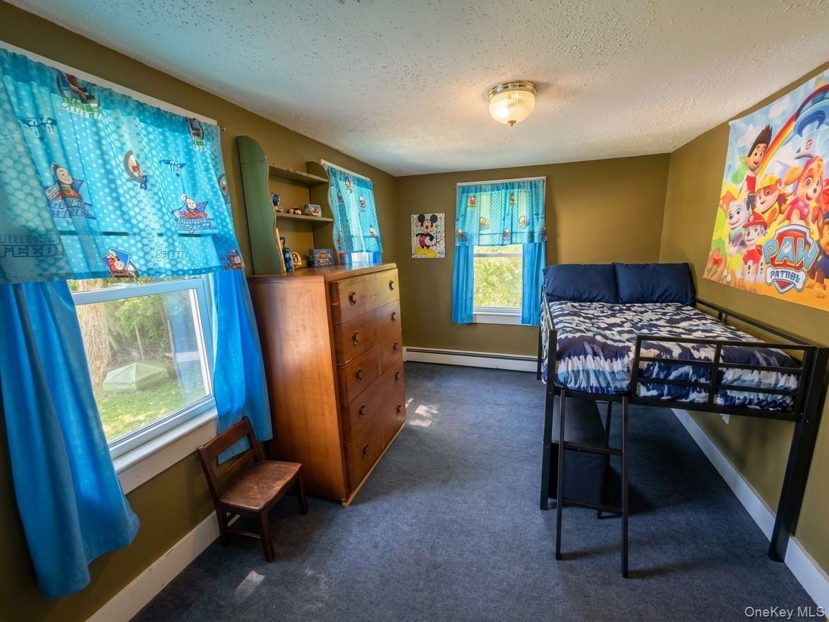 Single Family Chestnut Street Sullivan County, NY 12754, MLS-1038064-10