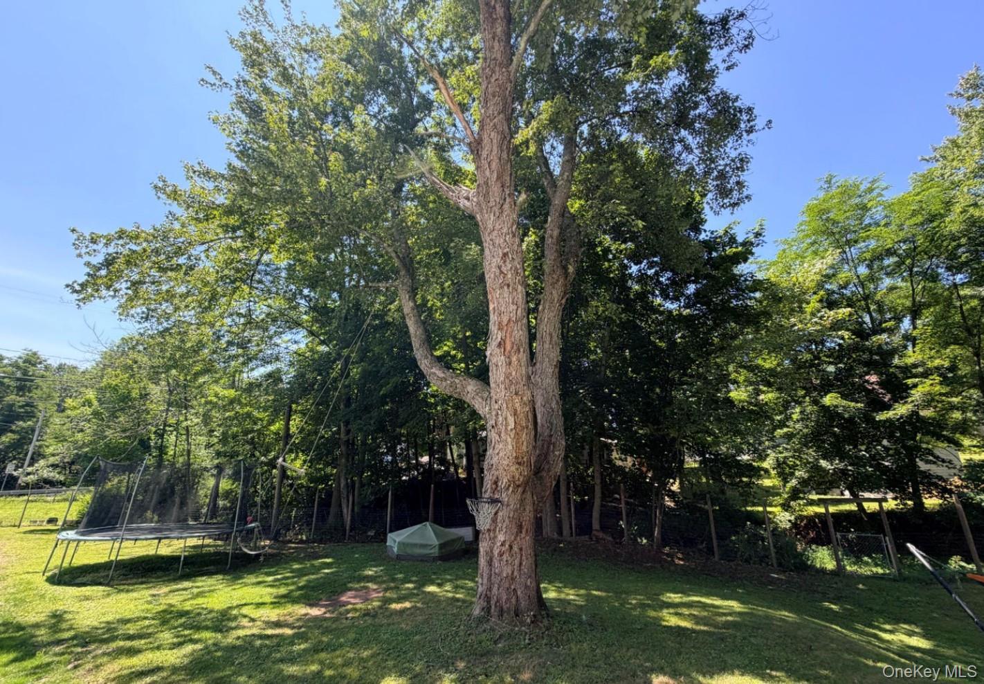 Single Family Chestnut Street Sullivan County, NY 12754, MLS-1038064-16