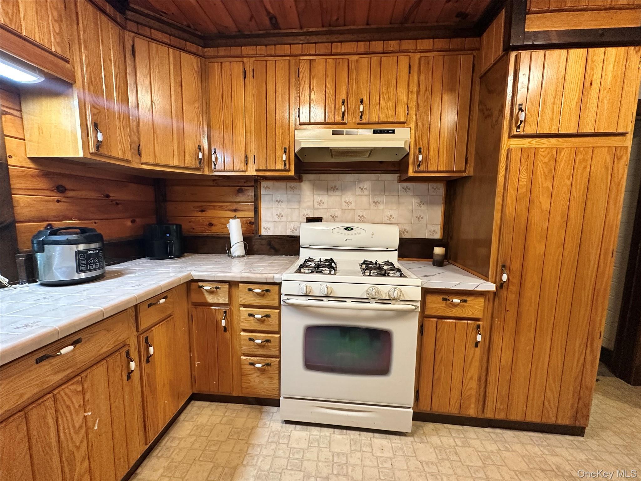 Single Family Foss Lane Orange County, NY 12746, MLS-1038074-10
