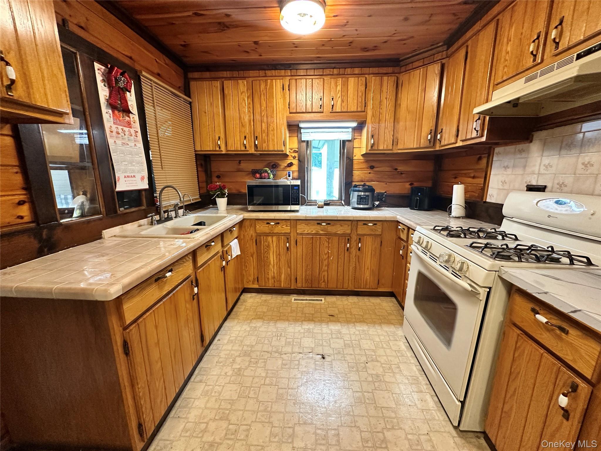 Single Family Foss Lane Orange County, NY 12746, MLS-1038074-11