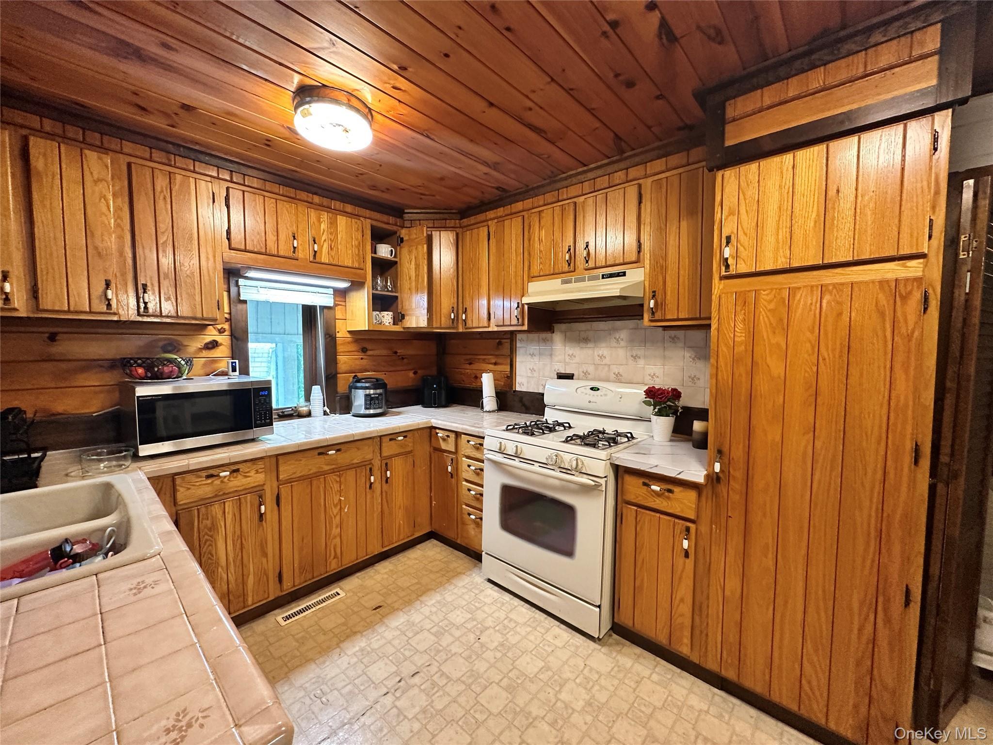 Single Family Foss Lane Orange County, NY 12746, MLS-1038074-12