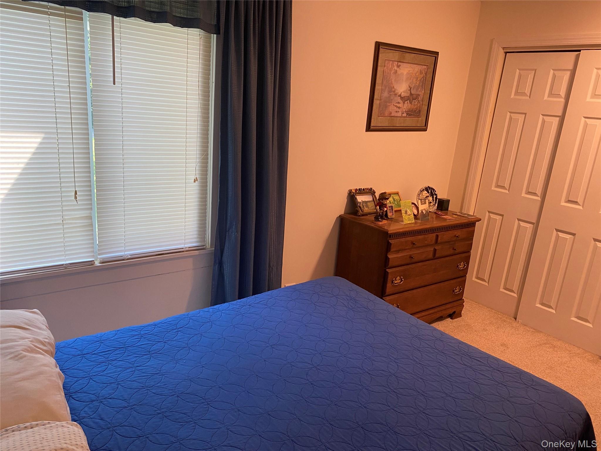 Single Family Longfellow Drive Suffolk County, NY 11951, MLS-1038076-12