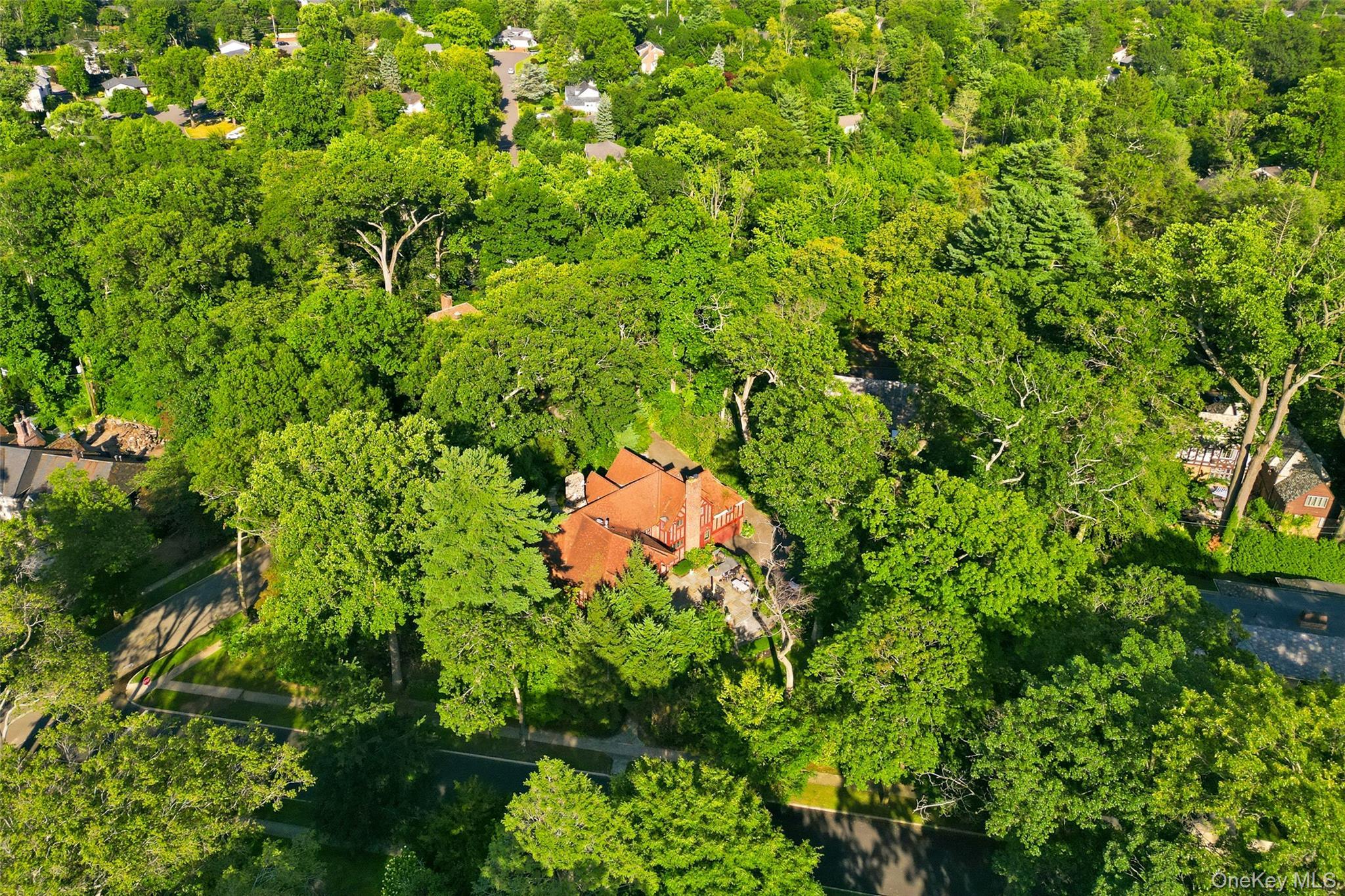 Single Family Wensley Drive Nassau County, NY 11020, MLS-1038087-49
