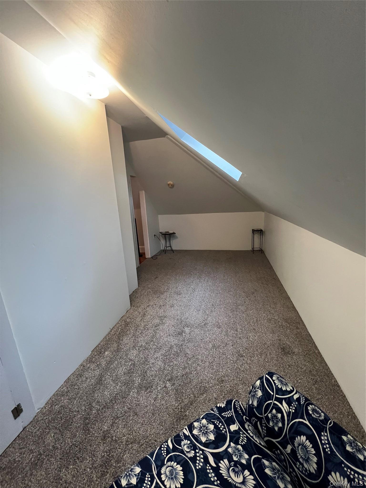 Single Family Bonaparte Place Nassau County, NY 11510, MLS-1038104-22