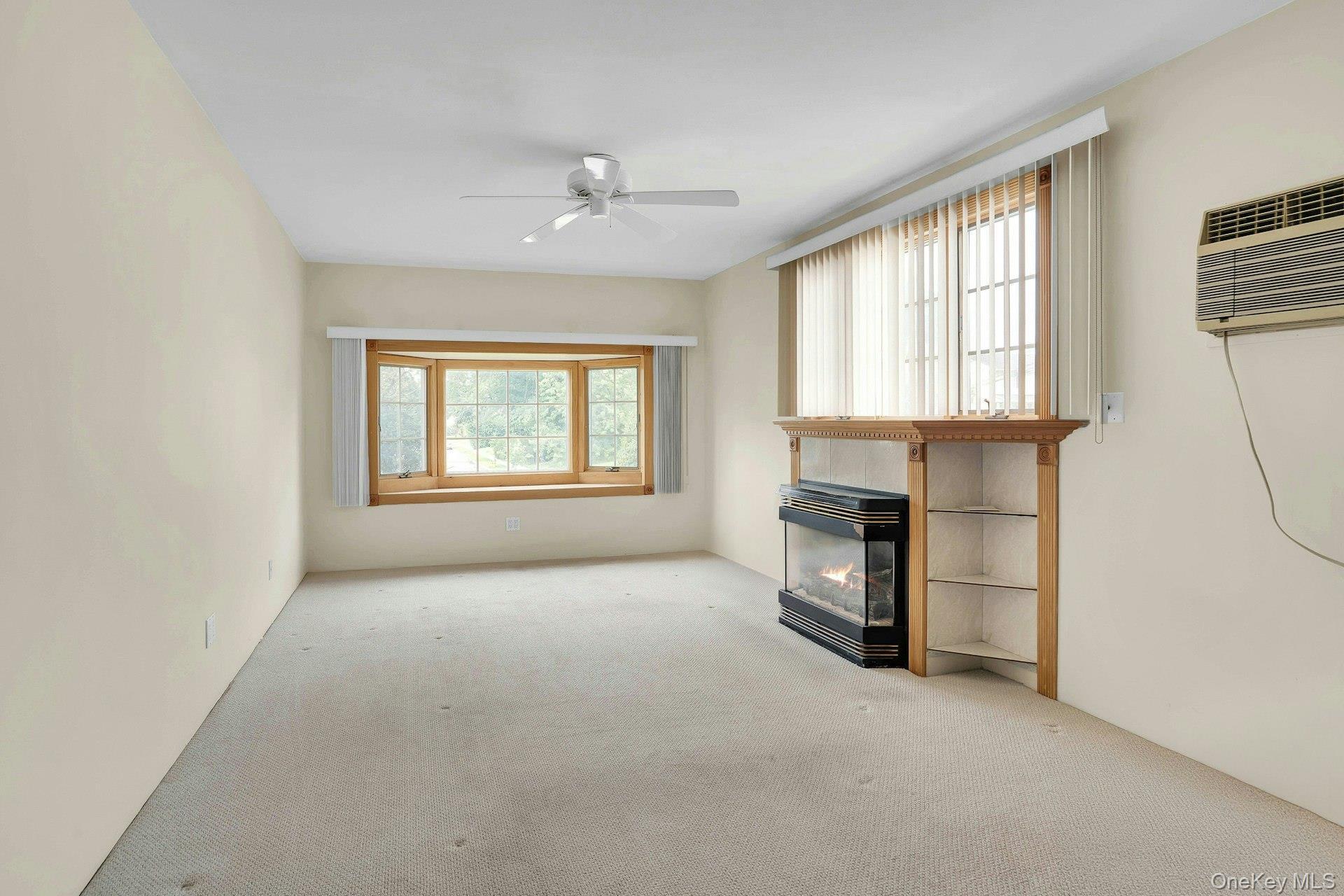 Single Family Tomkins Court Suffolk County, NY 11725, MLS-1038114-25