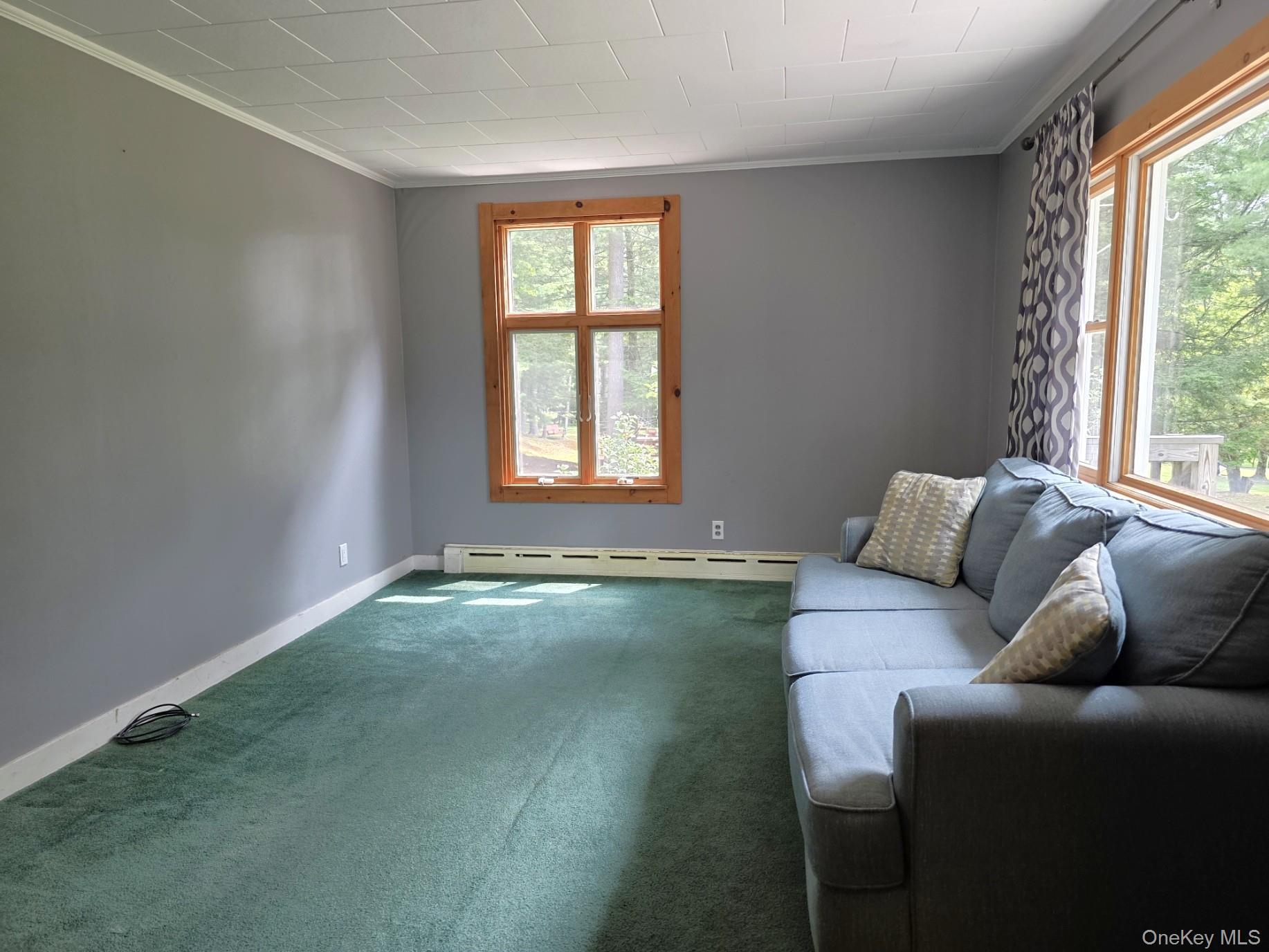 Single Family Mail Road Sullivan County, NY 12719, MLS-1038118-13
