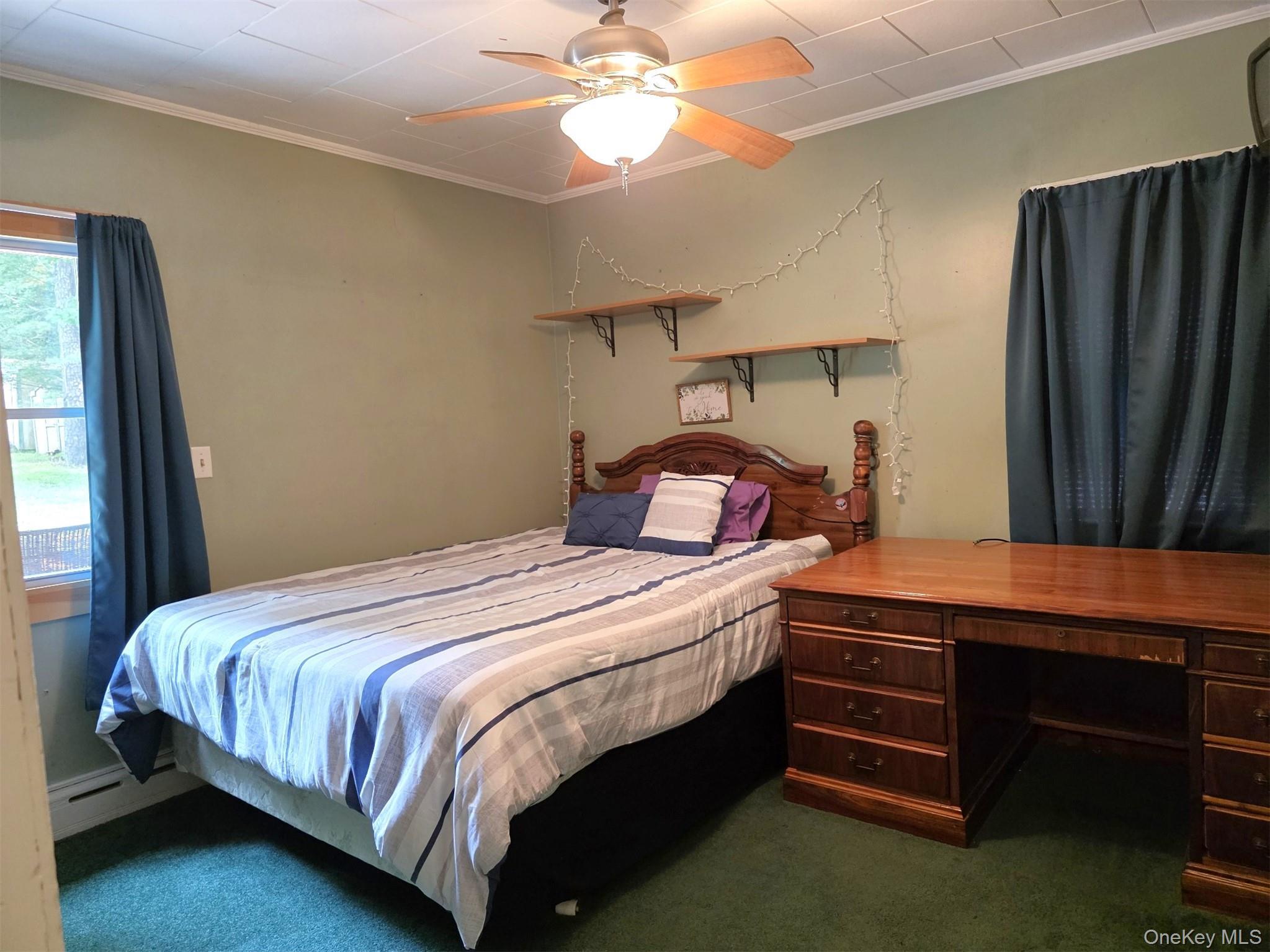 Single Family Mail Road Sullivan County, NY 12719, MLS-1038118-14