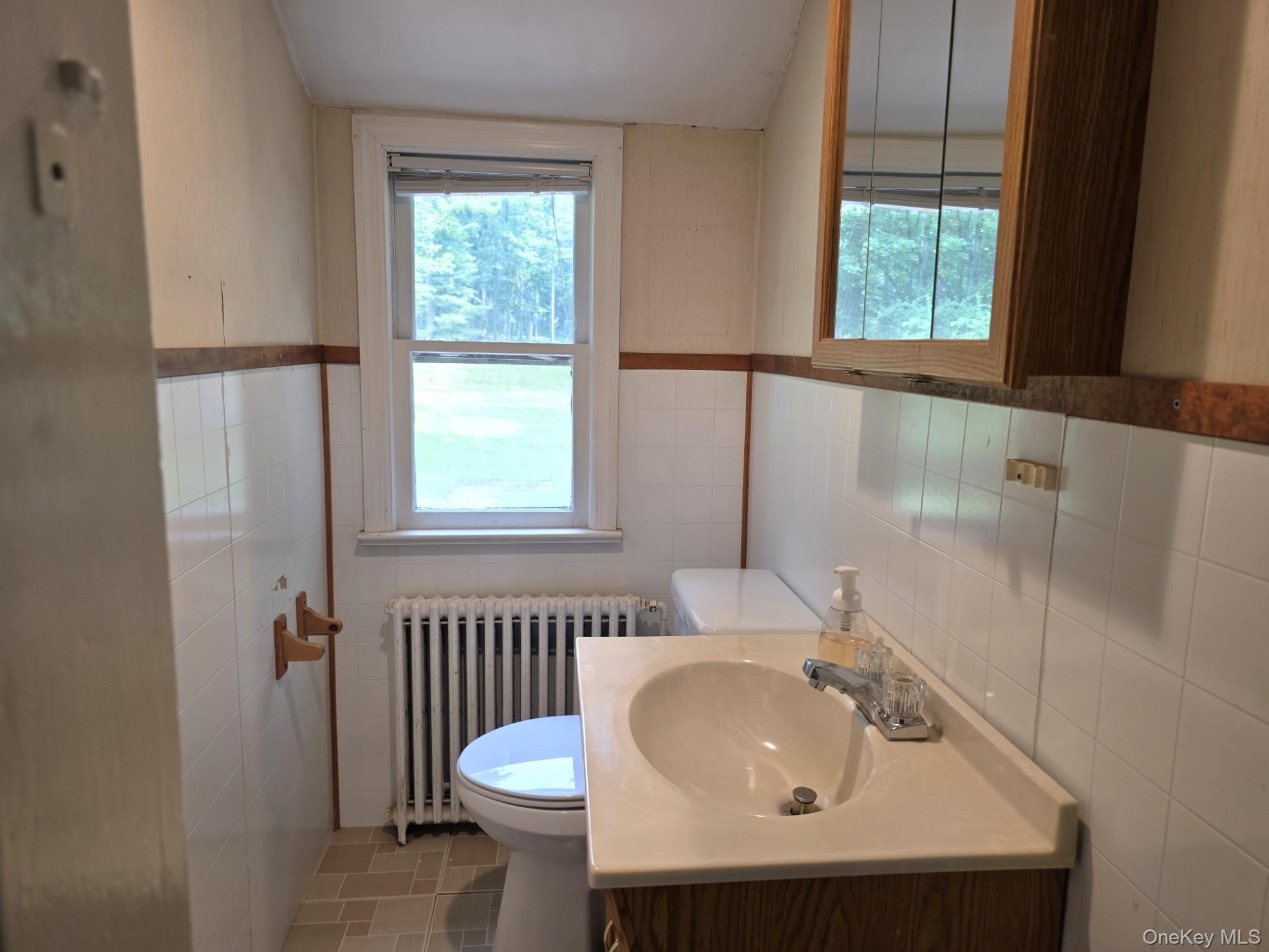 Single Family Mail Road Sullivan County, NY 12719, MLS-1038118-16