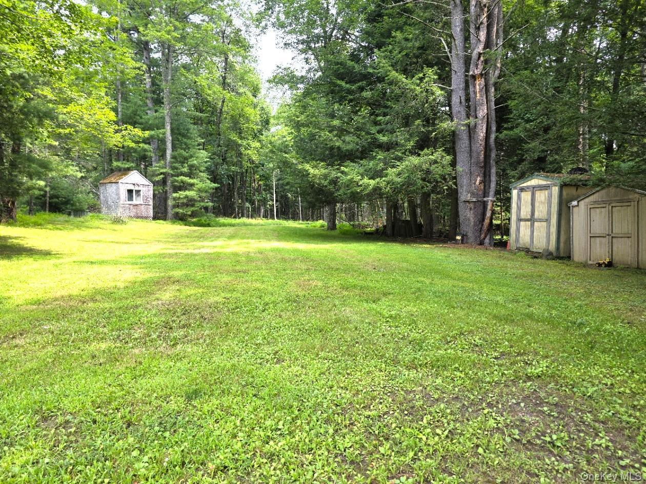 Single Family Mail Road Sullivan County, NY 12719, MLS-1038118-6