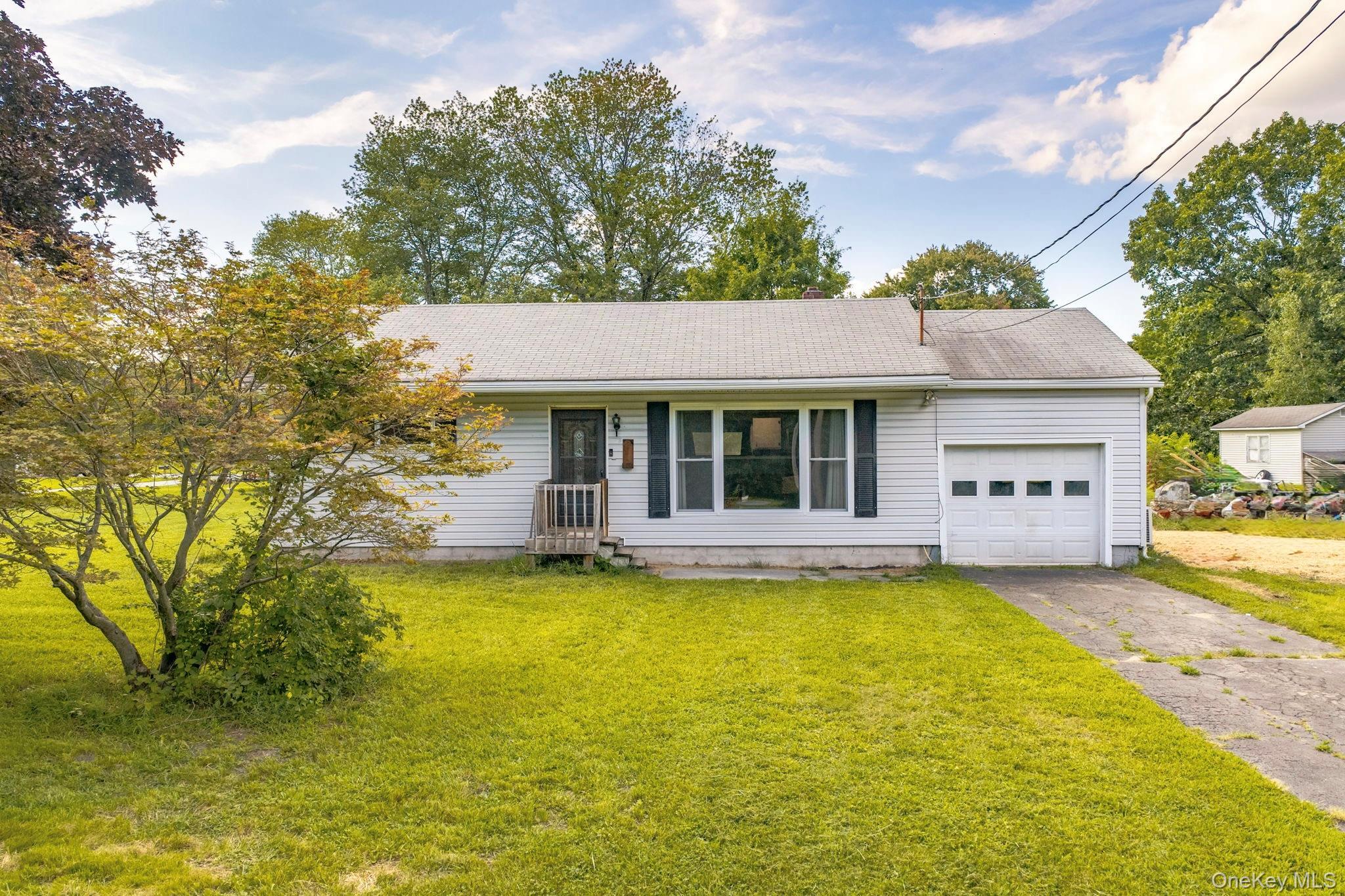 Single Family Wihelmina Street Orange County, NY 12771, MLS-1038134-14