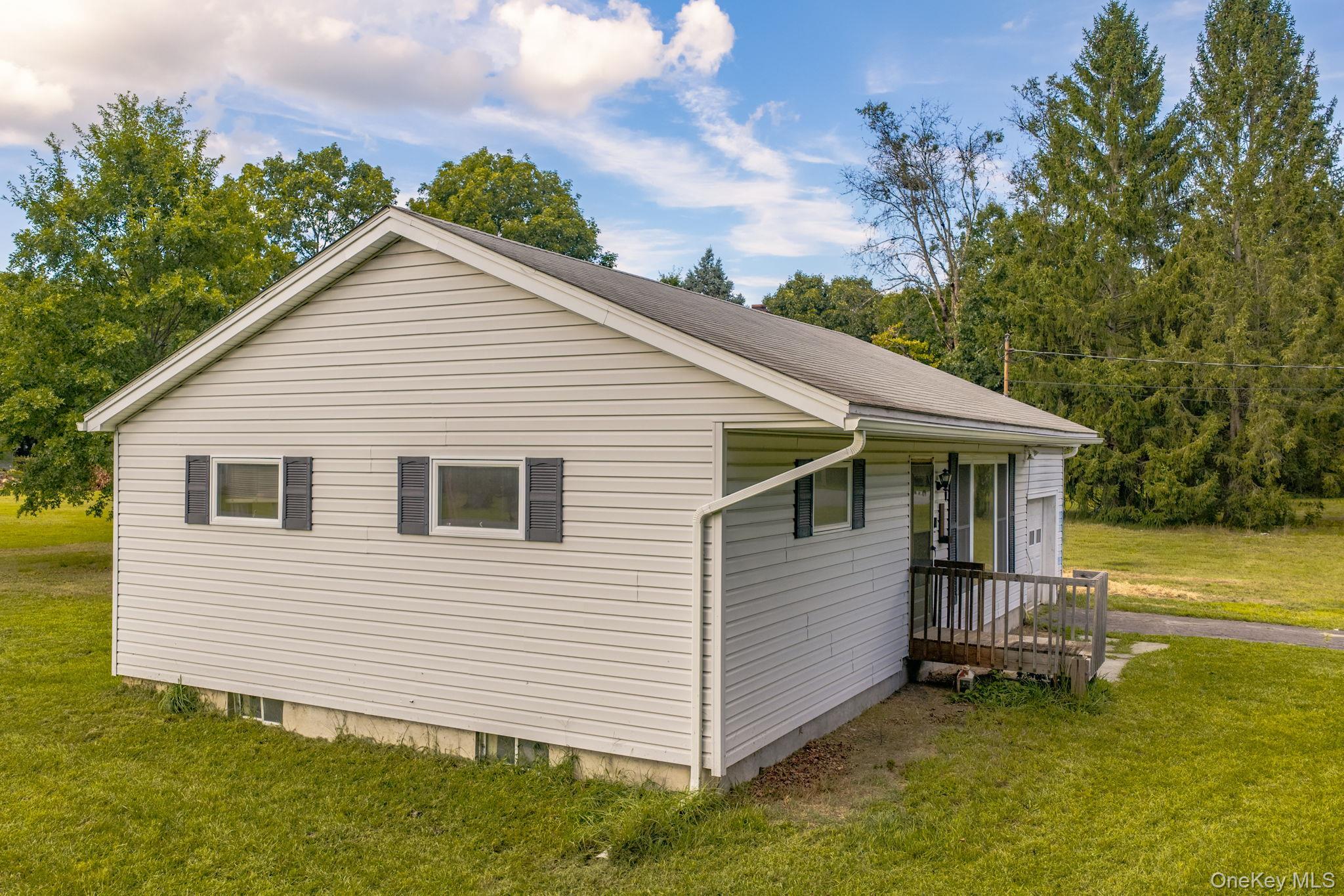 Single Family Wihelmina Street Orange County, NY 12771, MLS-1038134-15