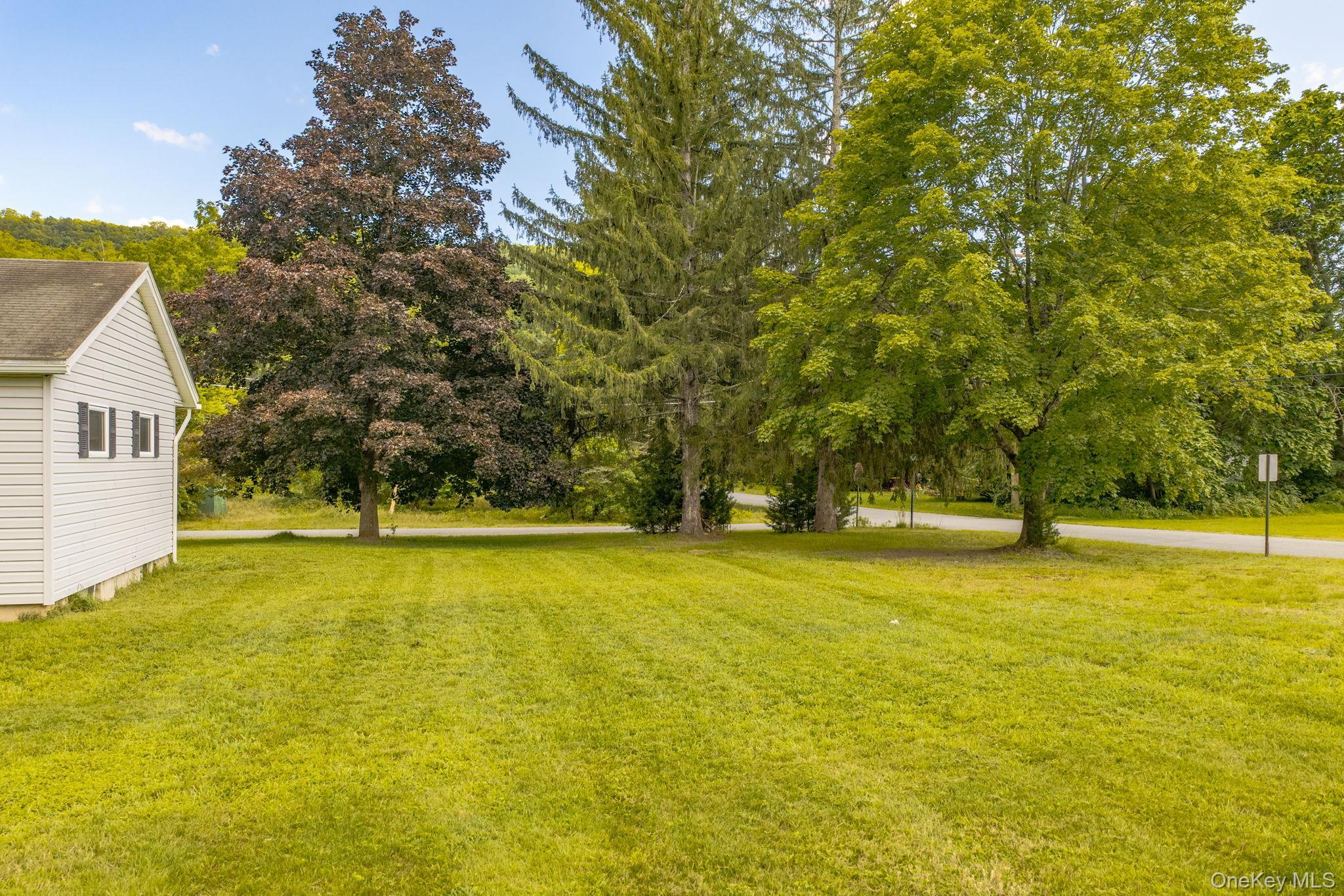 Single Family Wihelmina Street  Orange County, NY 12771, MLS-1038134-17